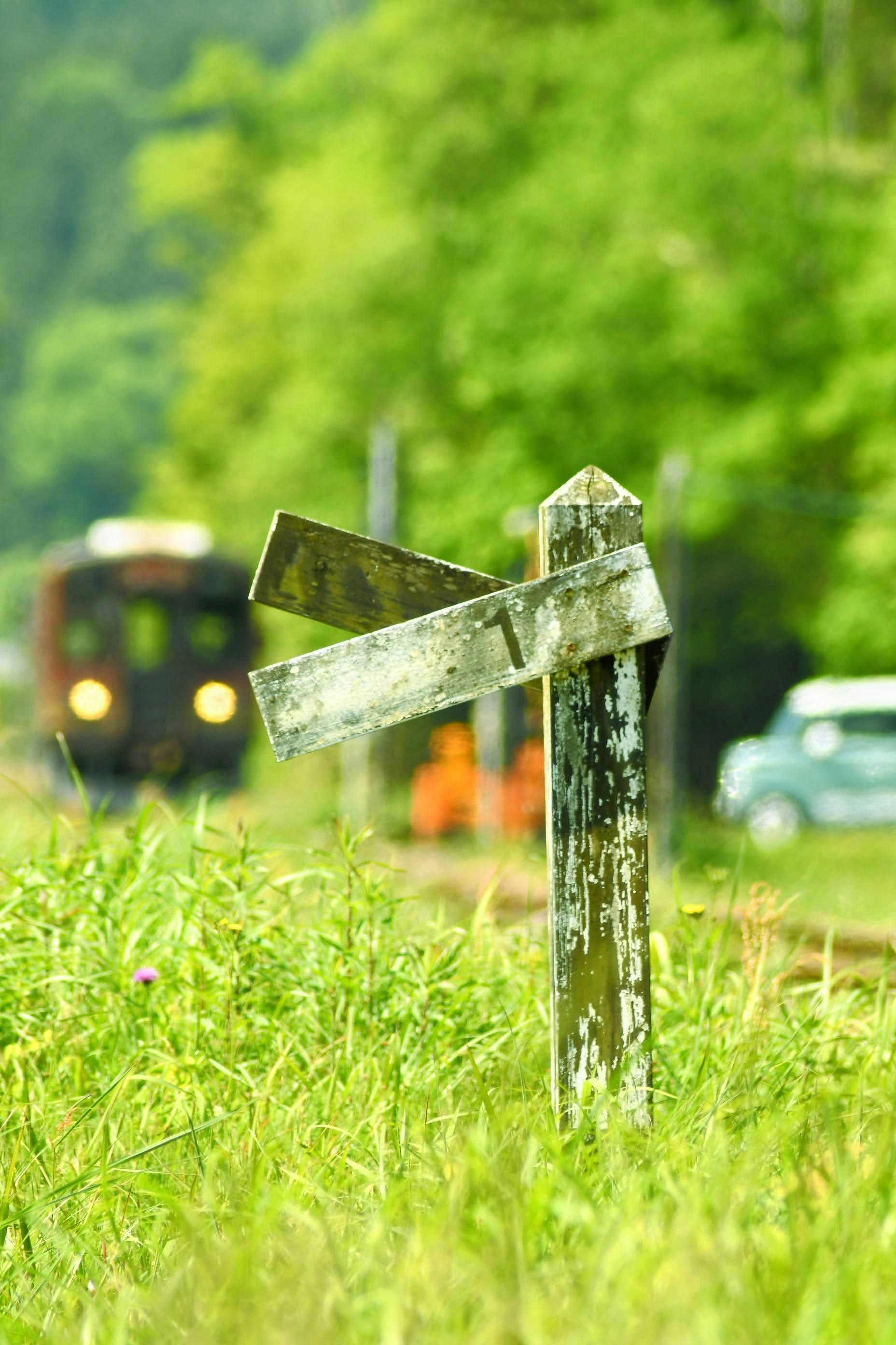 緑の草地に立つ錆びた道標と車のある風景