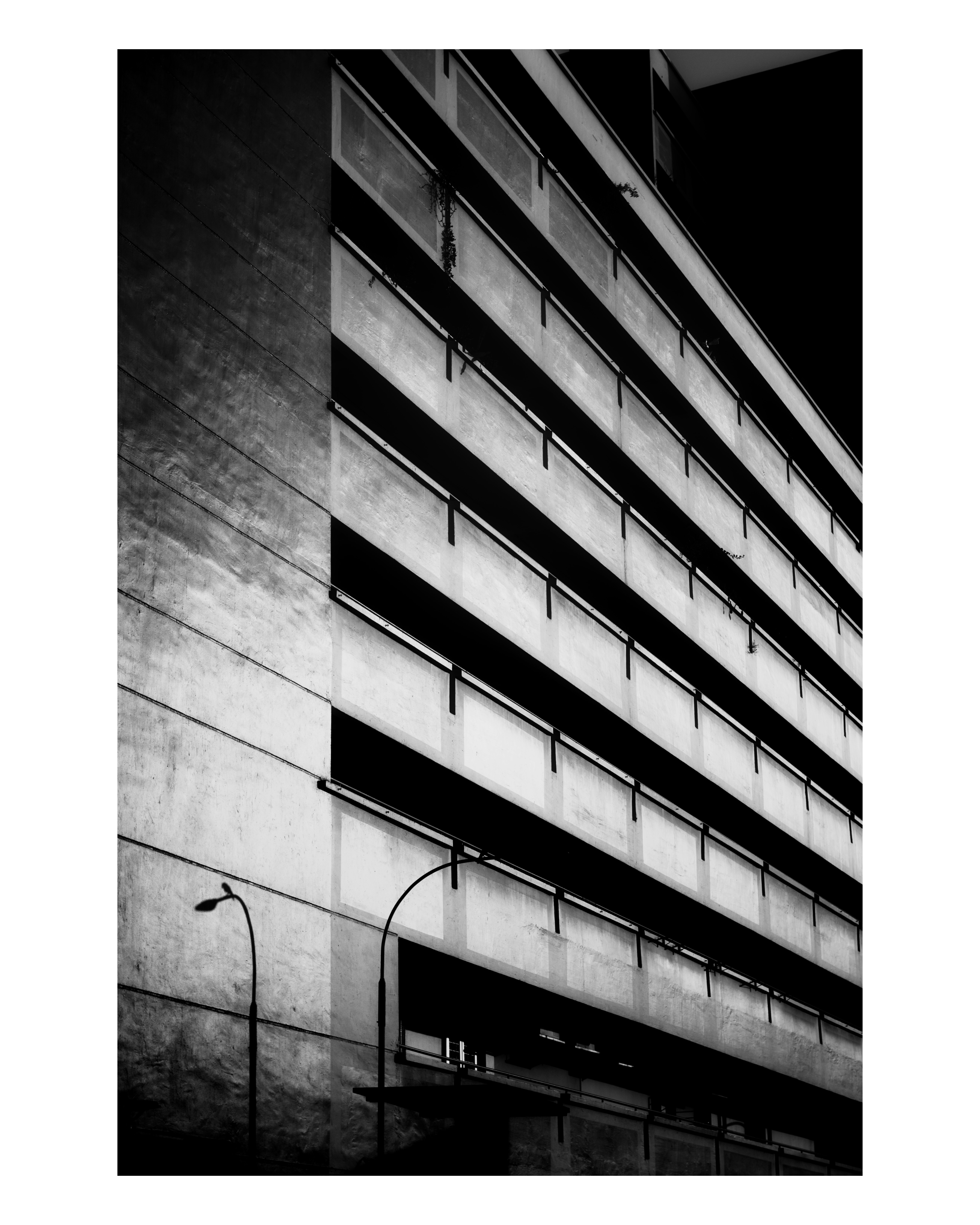 photo-EDw9FB8TzmYEONXQRfx2-image