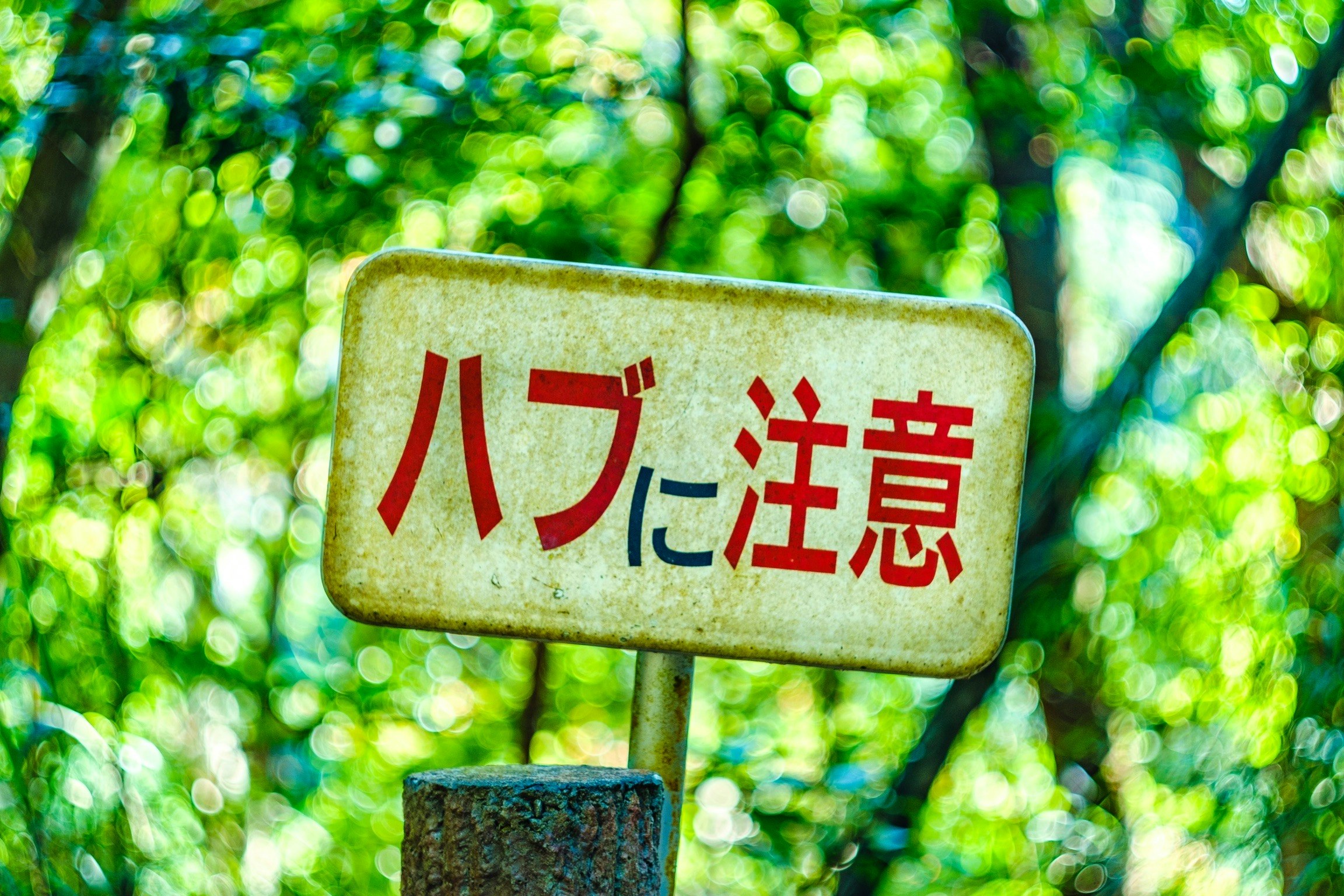 「ハブに注意」の標識が立つ緑の屋外風景