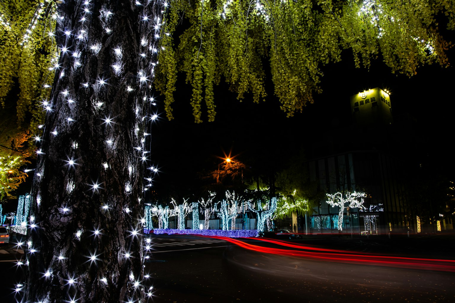 Arbre décoré de lumières blanches la nuit avec feuillage lumineux