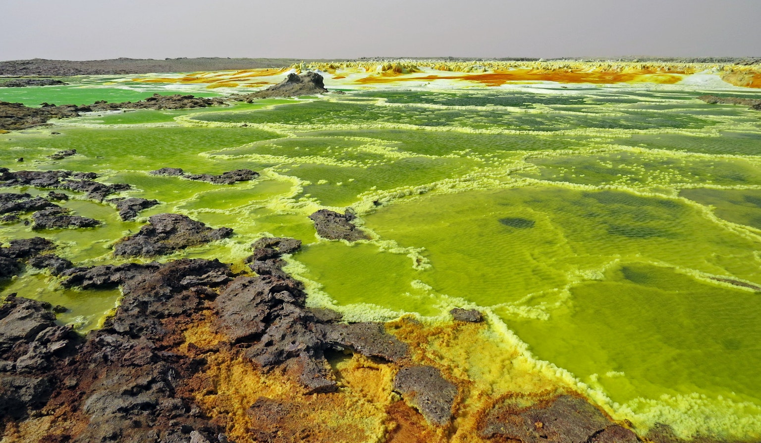 Surreal landscape with green water and black rocks