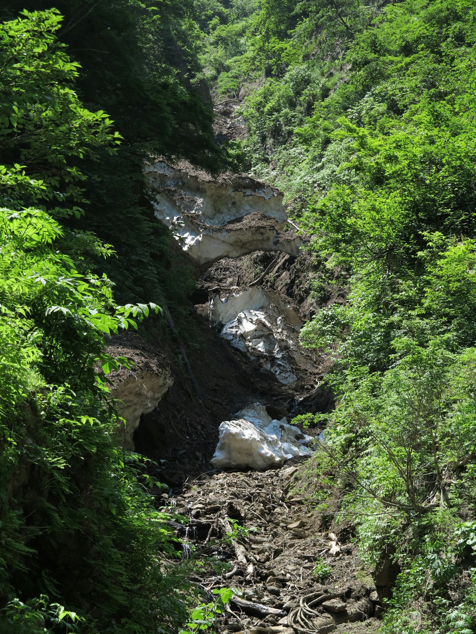 Valle verde con agua fluyendo y terreno rocoso