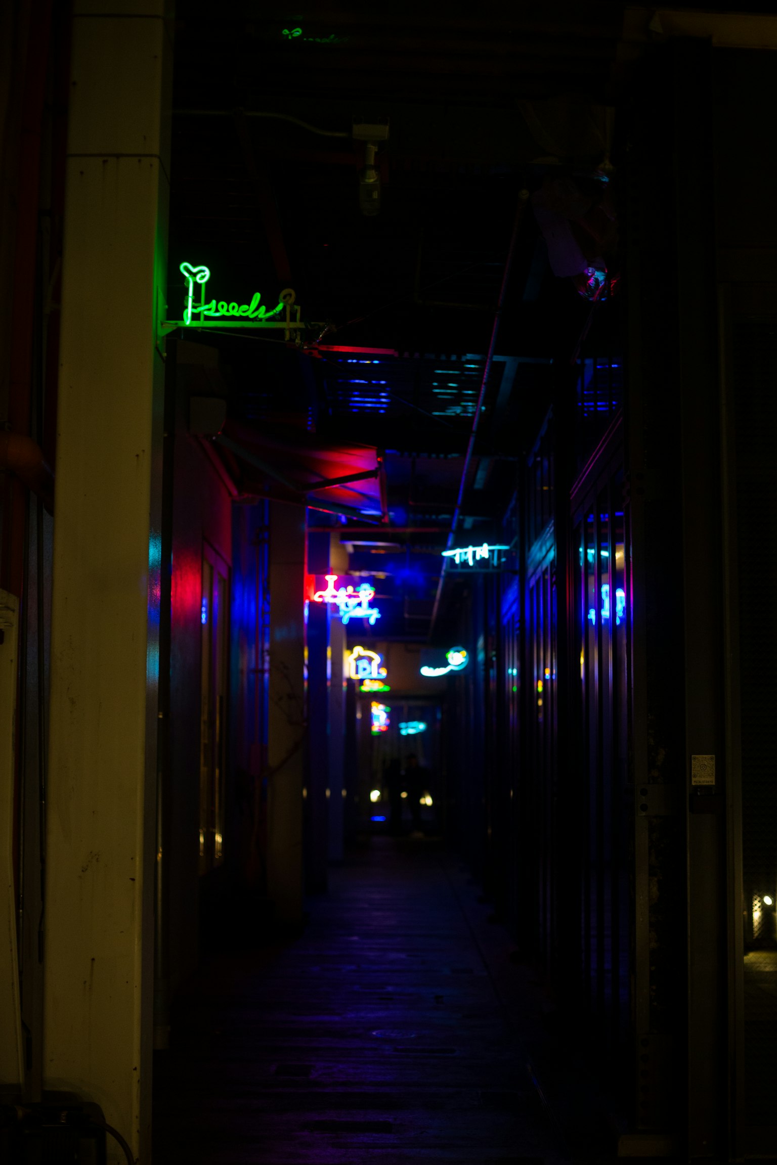 photo-EF4RwnGlbKAWDh9fn1ly-image