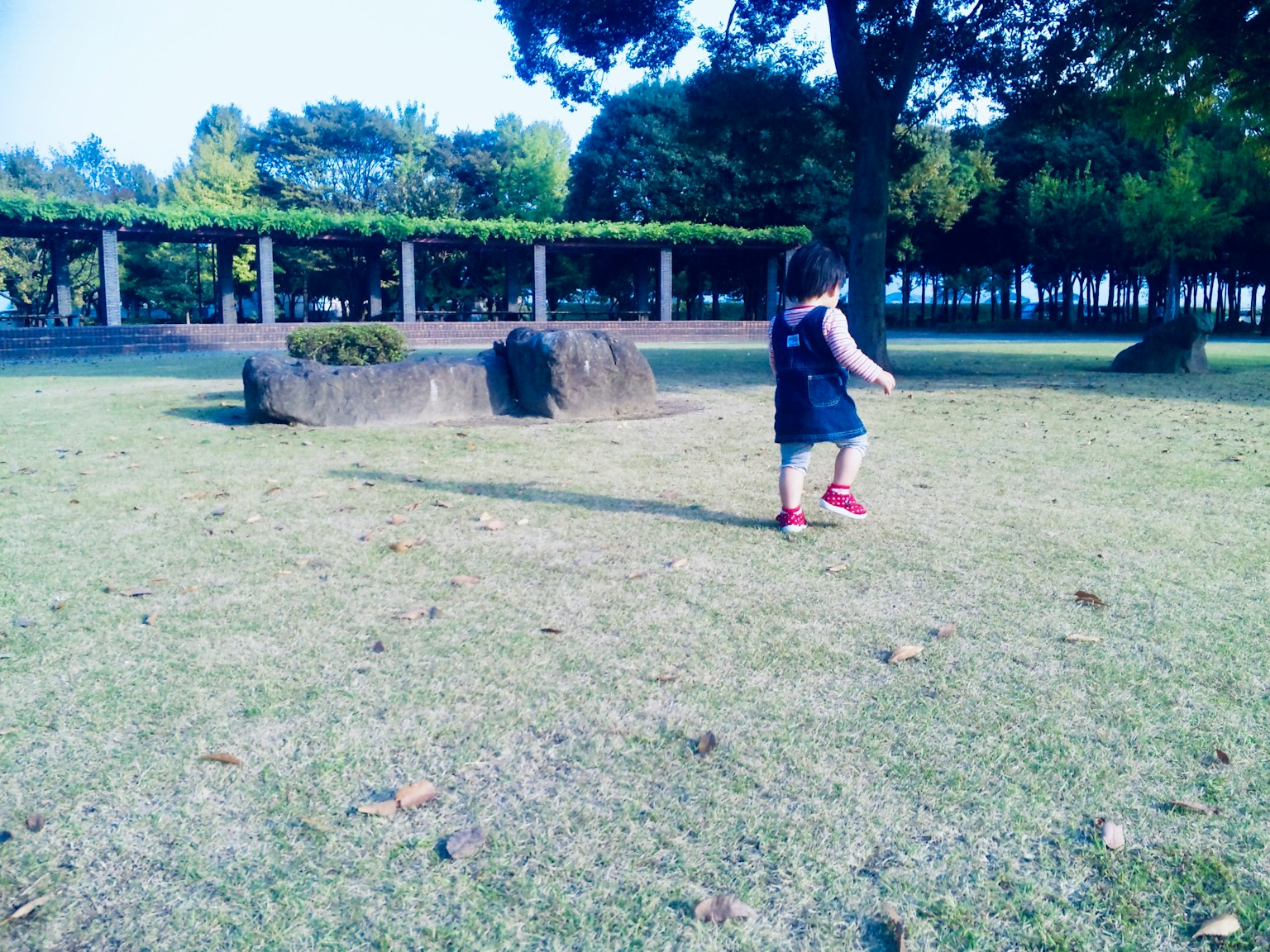 Bambino che gioca in un parco con oggetti di pietra