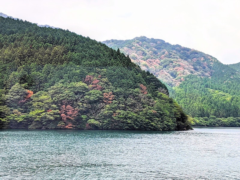 湖畔に迫る緑の山並みと水面