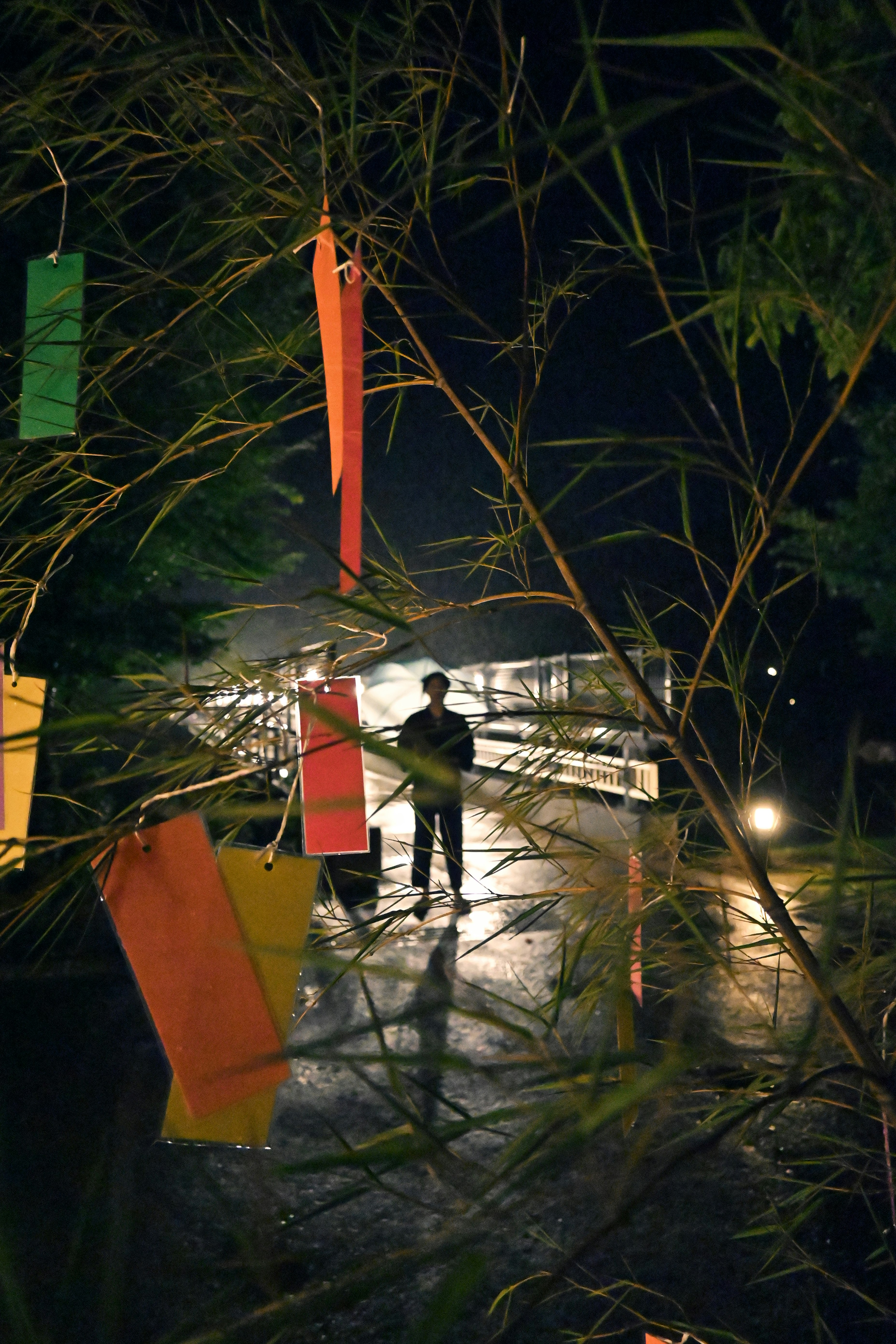 A person standing in a night scene with bamboo and colorful tanzaku decorations