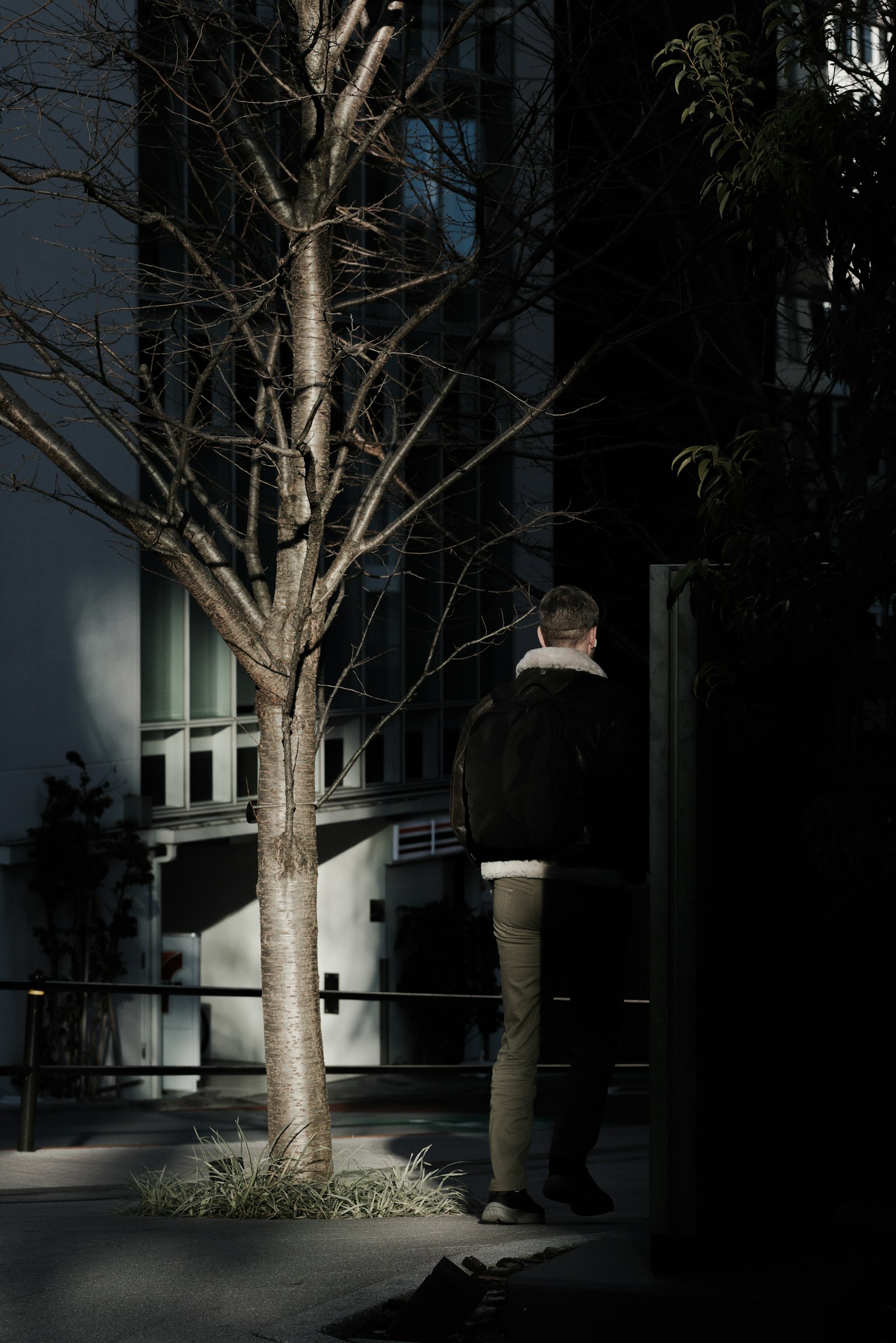Personne en silhouette debout près d'un arbre dans un cadre urbain sombre