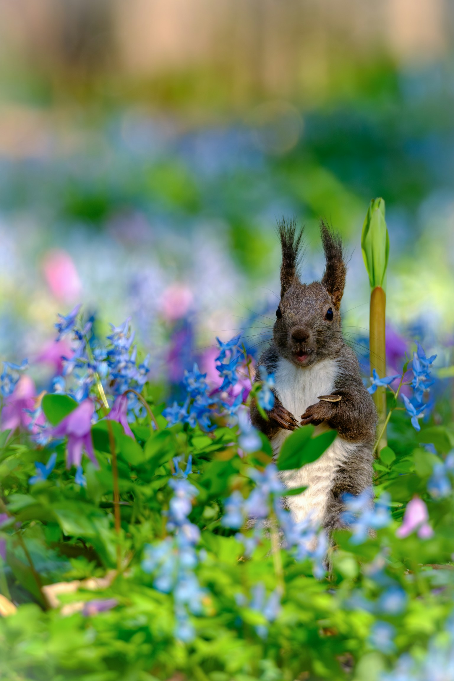 photo-EG6V1NlOTBG4ghxWUWZg-image