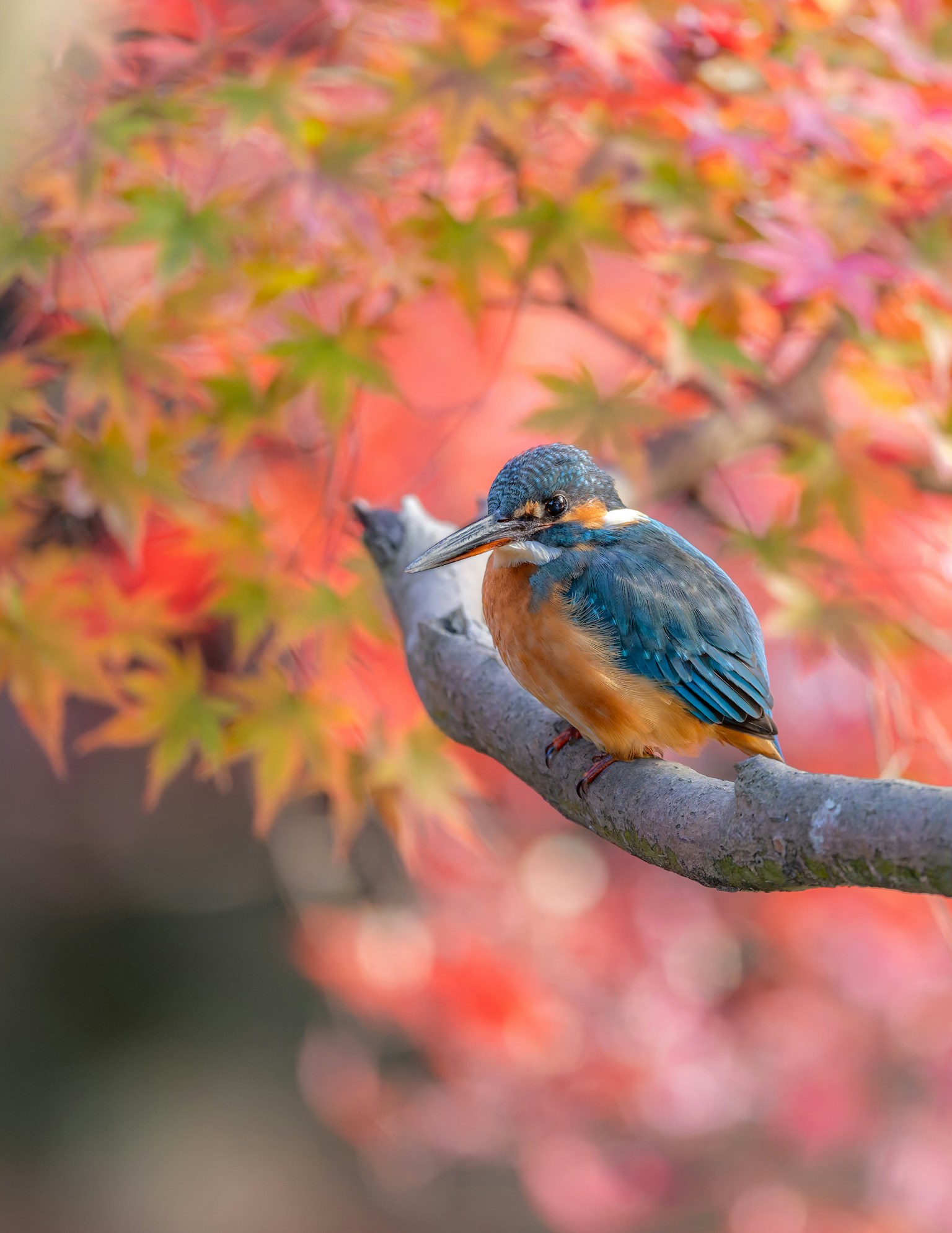 photo-EGBHiBKqrcMkTOVRPyio-image