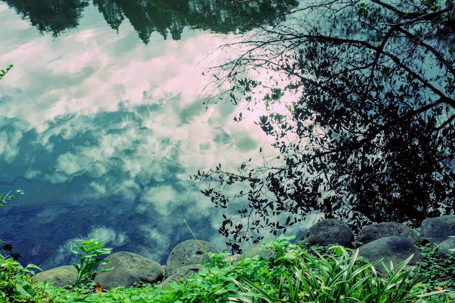 Una escena tranquila con reflejos de nubes y árboles en el agua