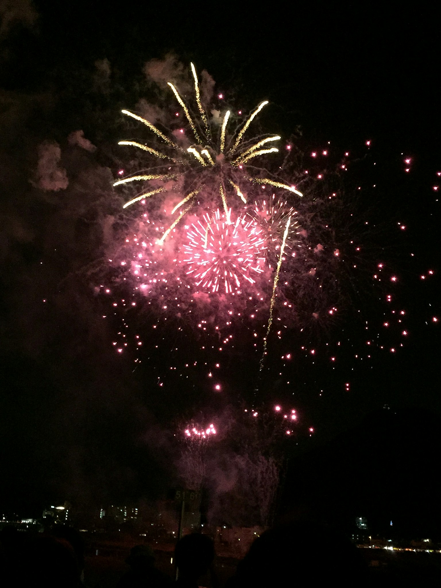 夜空中绽放的五彩烟花