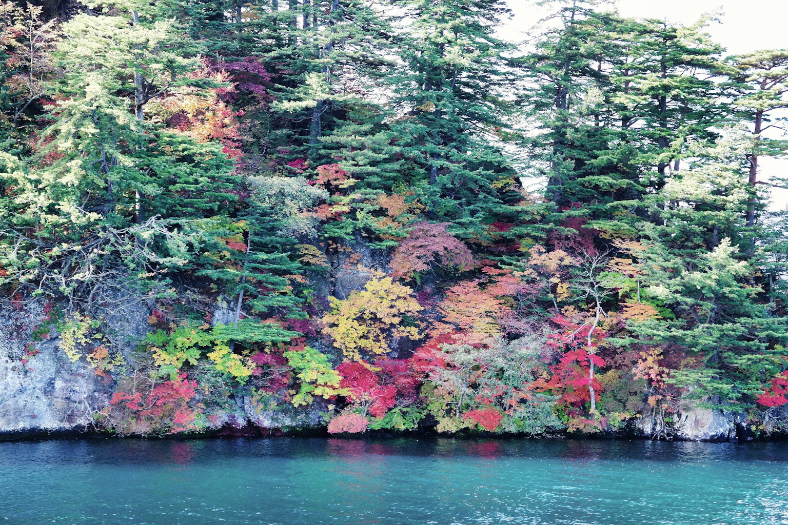 Foliage autunnale vibrante lungo una scogliera sul lago