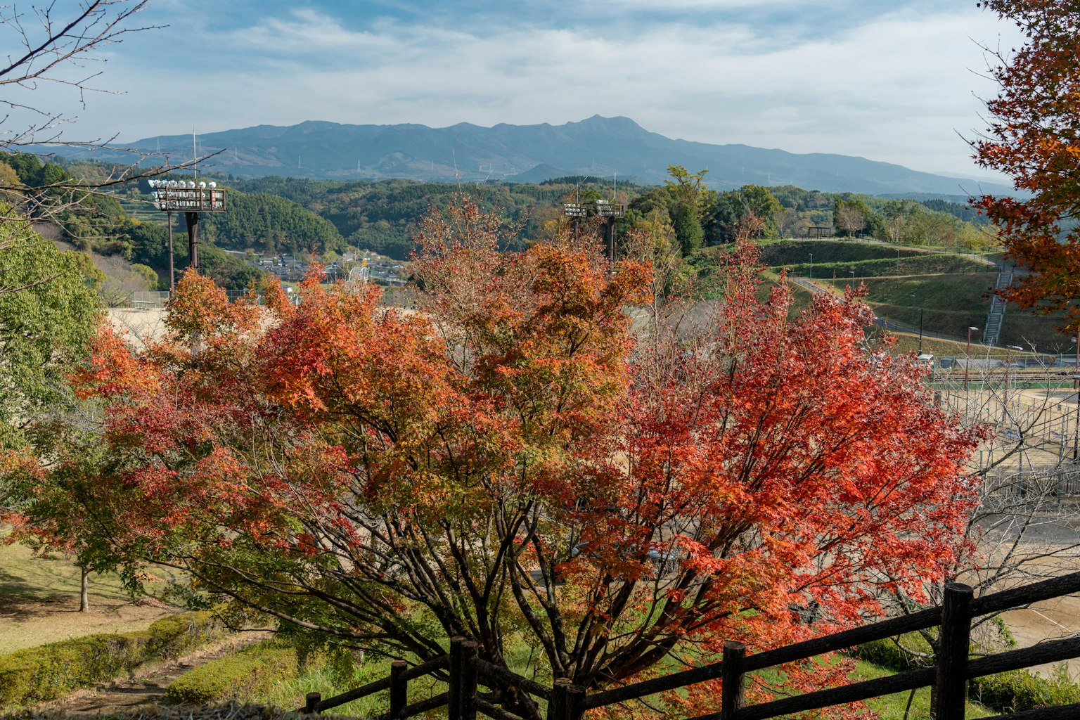Autumn foliage with vibrant red leaves and distant mountains