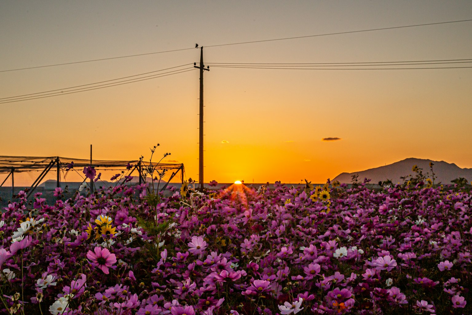 photo-EIDhouB7NwZA8MK0mUFg-image