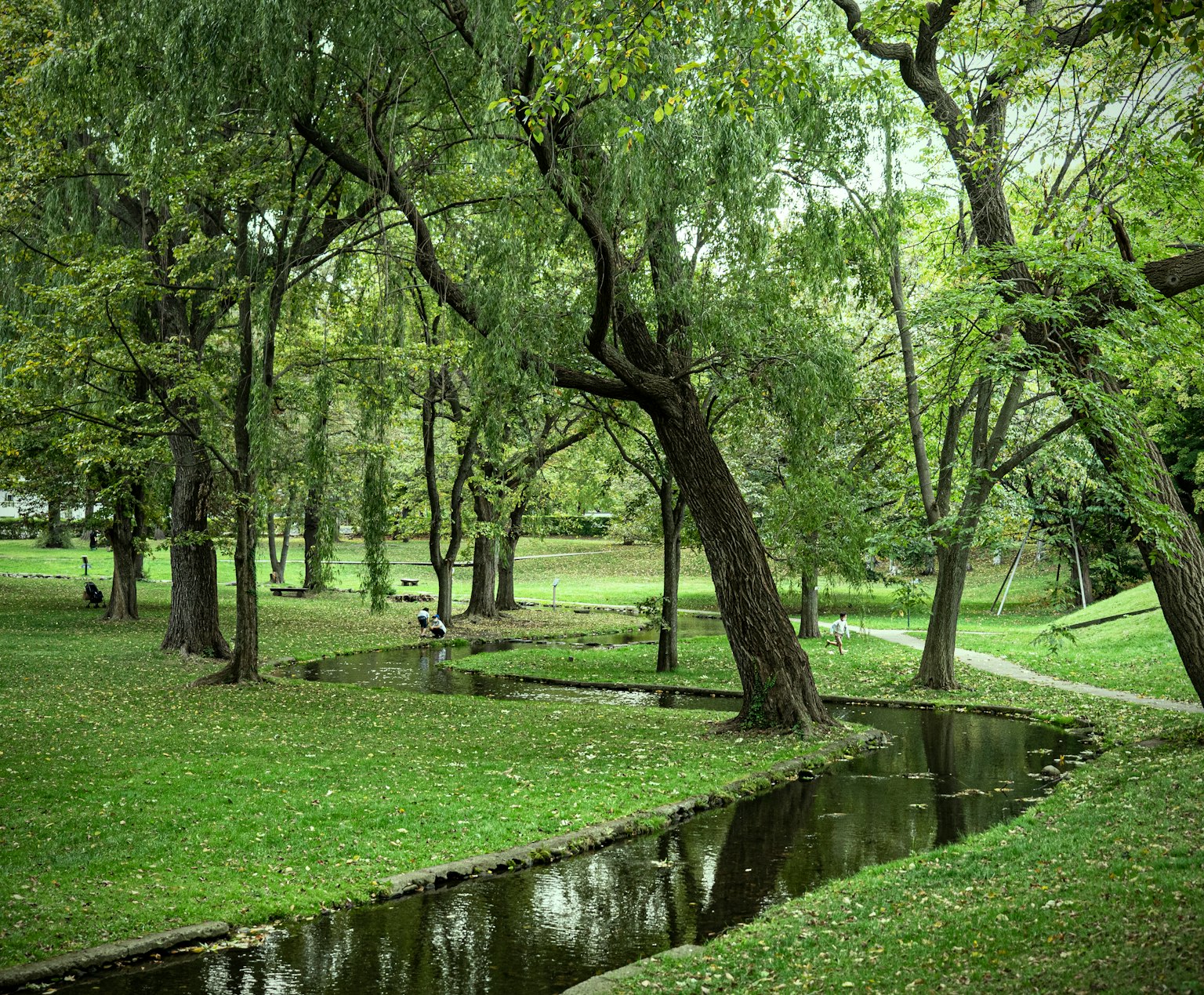 Parco verdeggiante con un ruscello che scorre tra gli alberi
