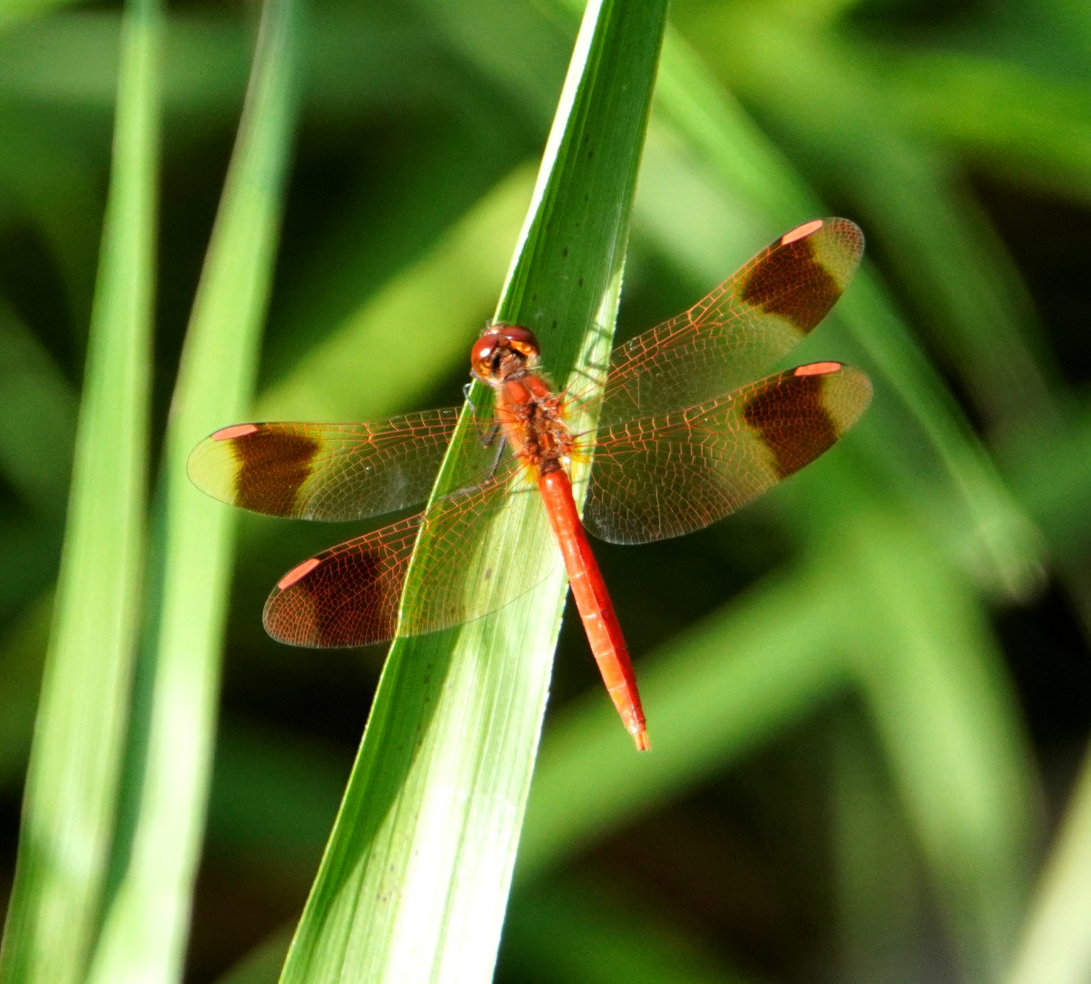 photo-EIXWlaY5tN5uQobUG4Nk-image