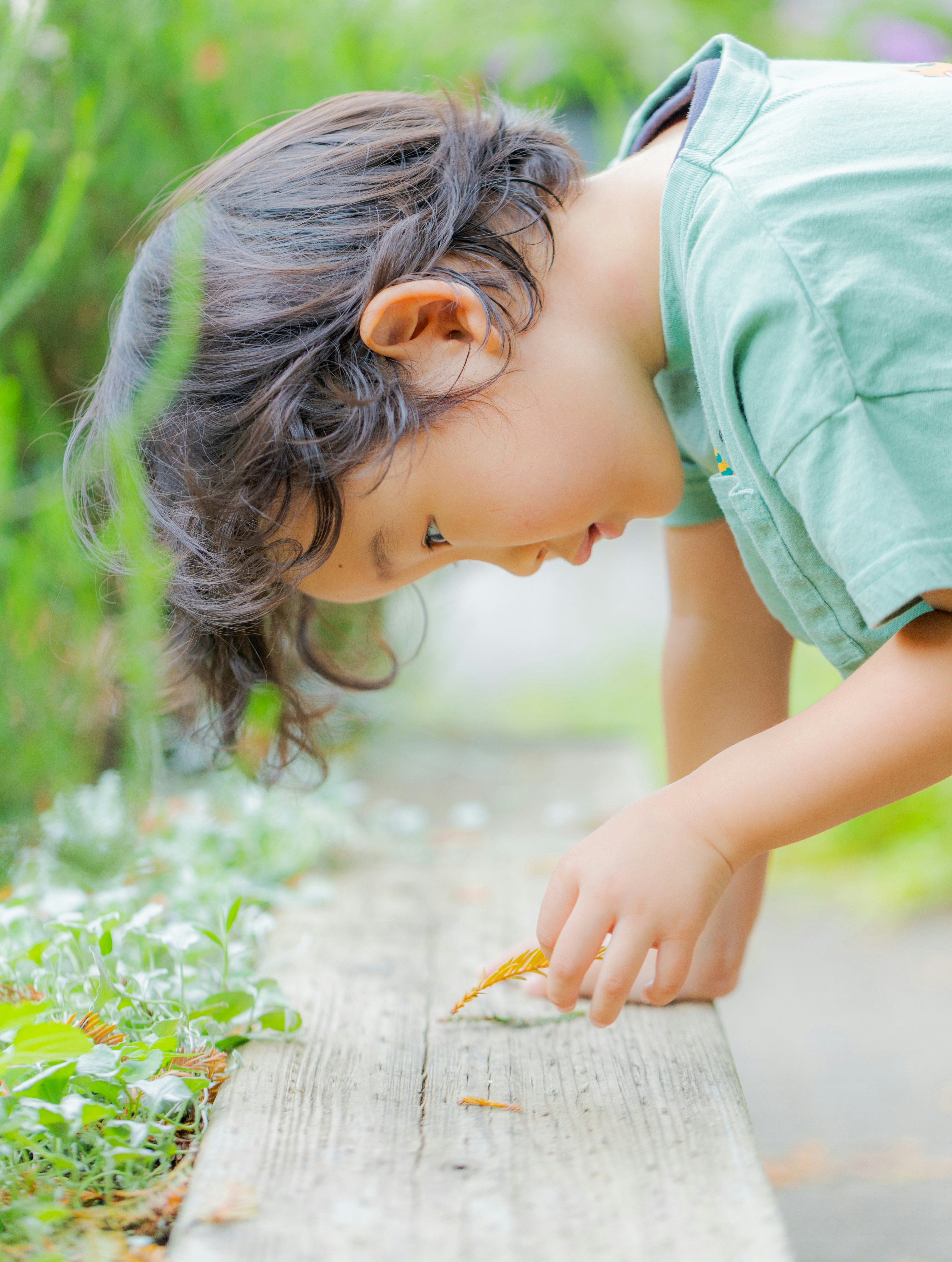 草むらの木の板で虫探しをする子ども