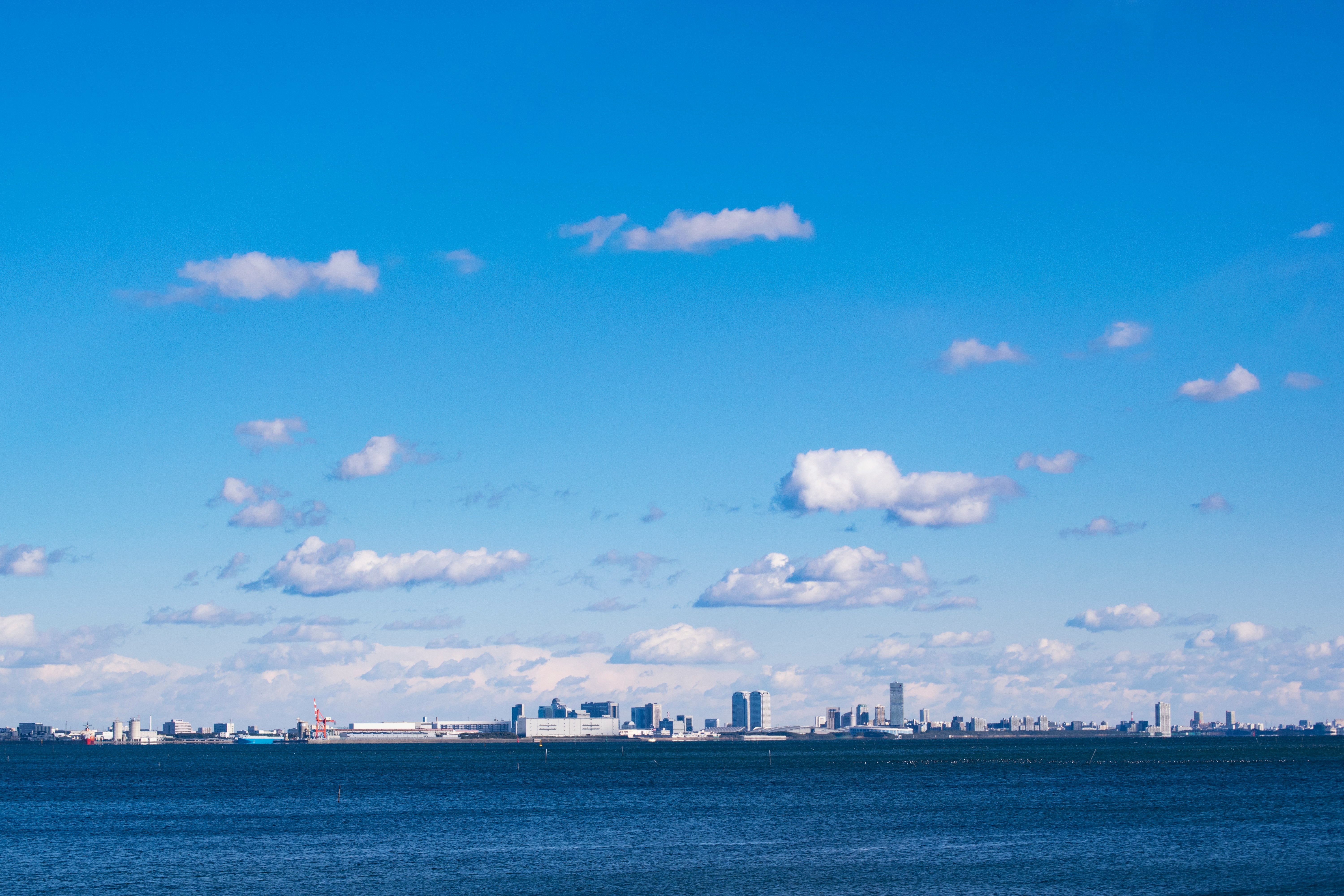 海沿いから望む都市のスカイラインと青空