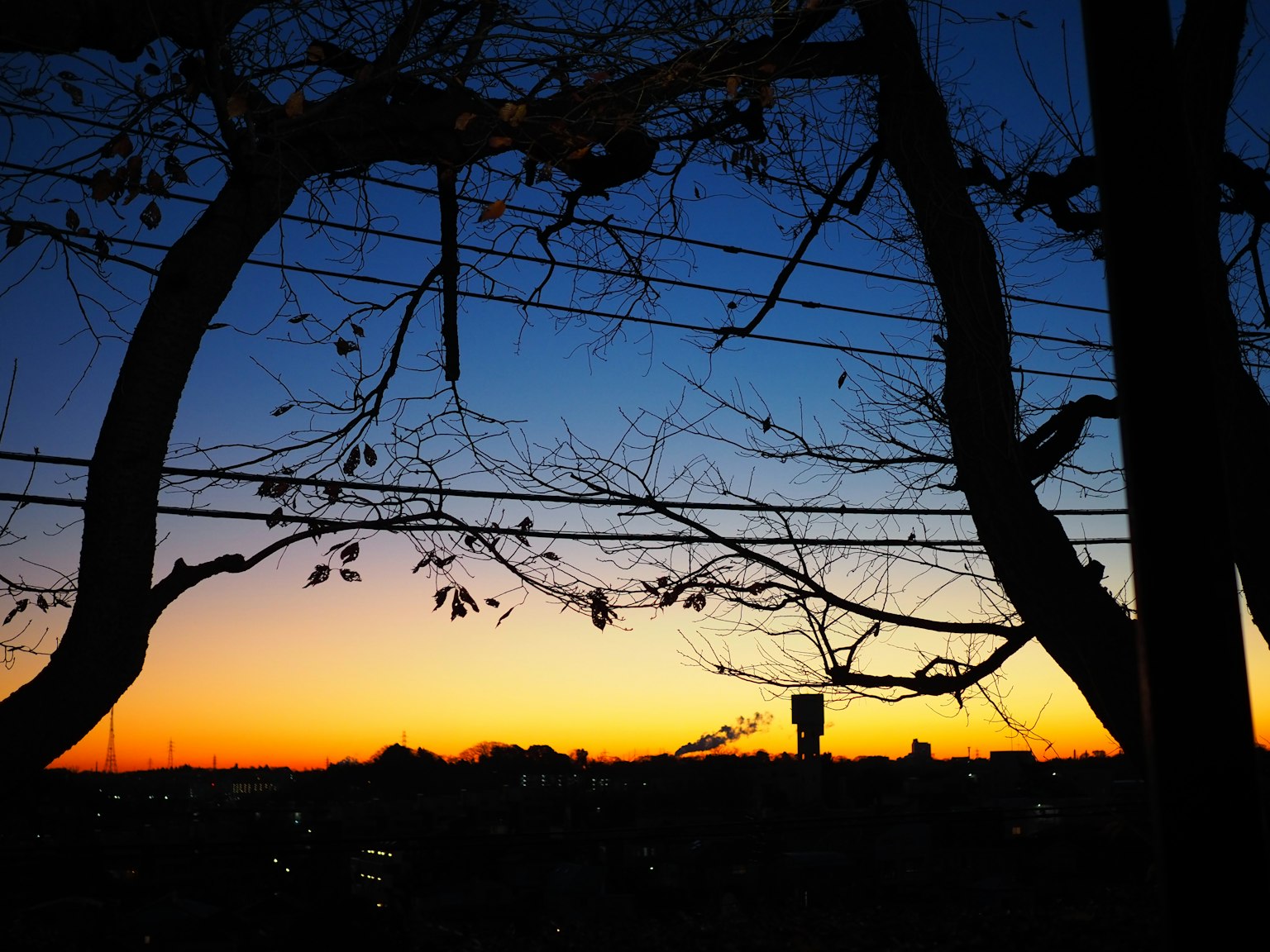 Silhouette von Bäumen und Stromleitungen vor einem Sonnenuntergangshimmel