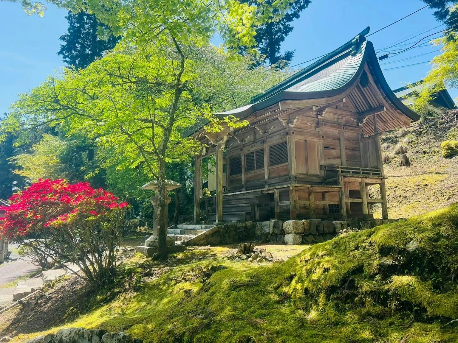 在晴朗的蓝天下被生机勃勃的绿色树木和色彩缤纷的花朵环绕的历史寺庙