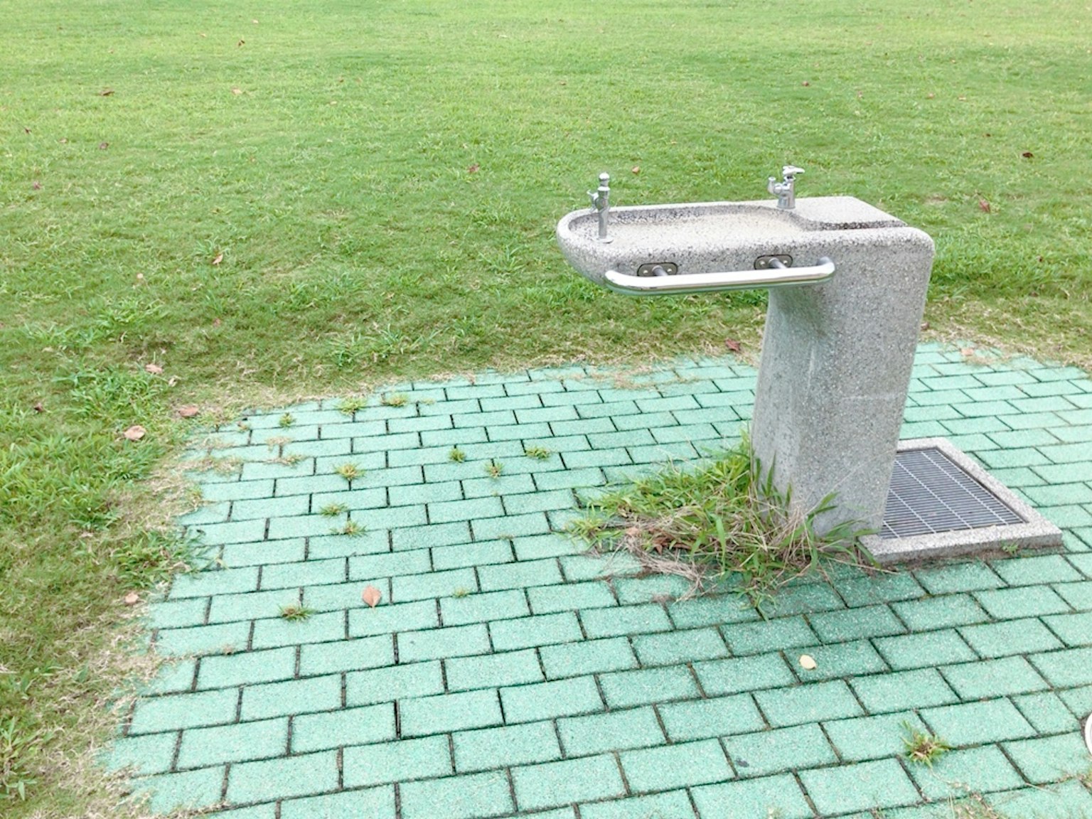 草地上的饮水器和绿色瓷砖