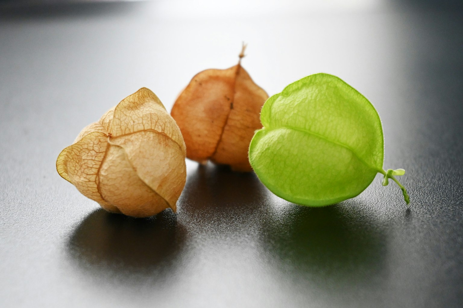 Ba quả physalis được sắp xếp trên nền đen