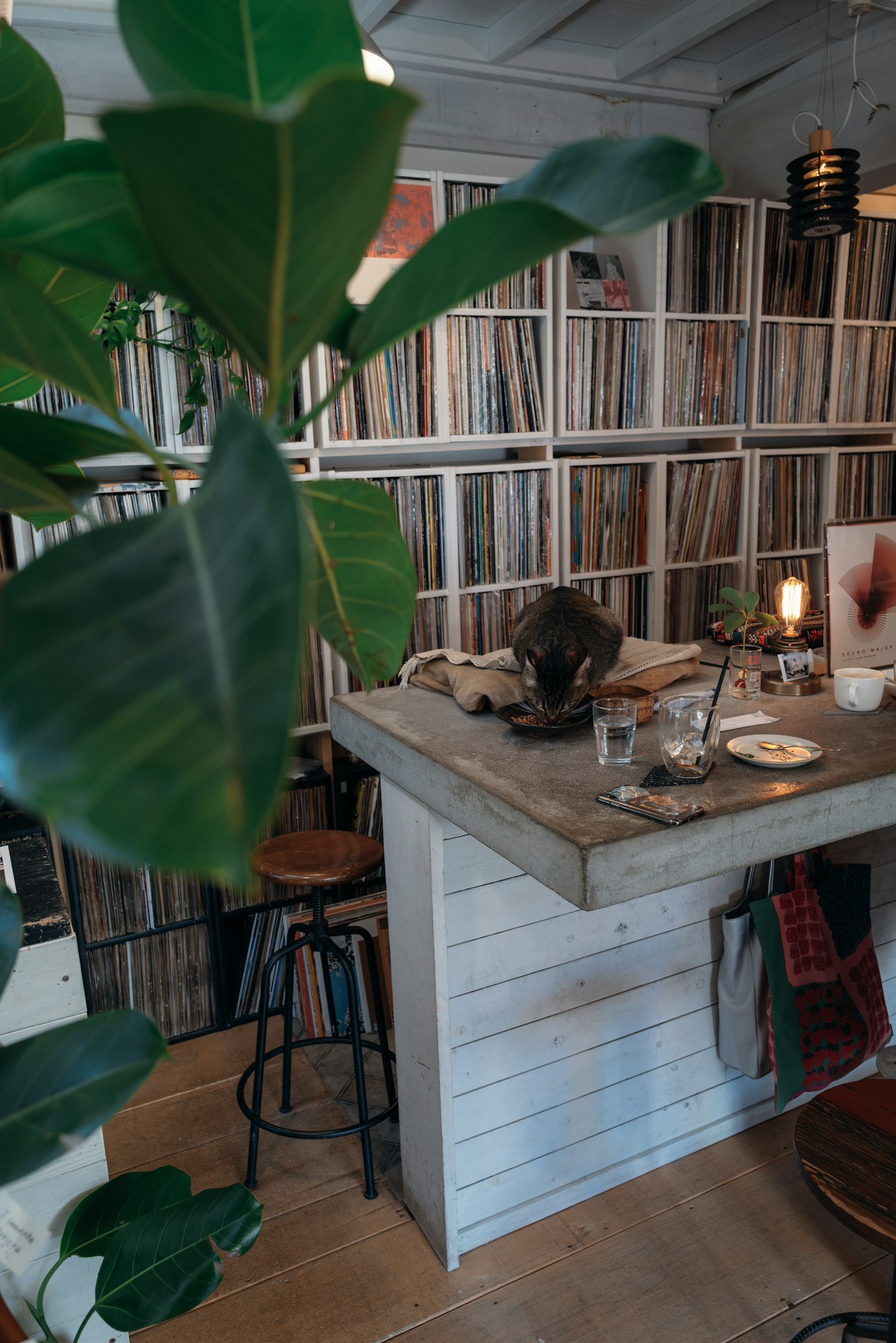 Interieur eines Cafés mit einer Wand aus Schallplatten mit Pflanzen und Tischdekorationen