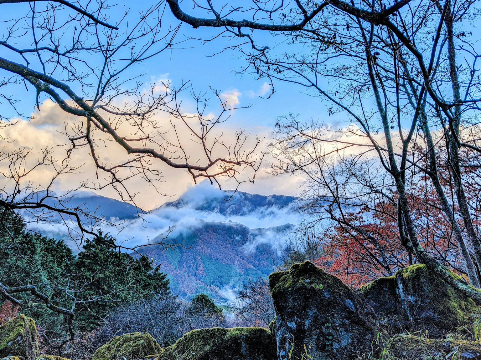 Vista panoramica di montagne e nuvole con alberi e rocce in primo piano