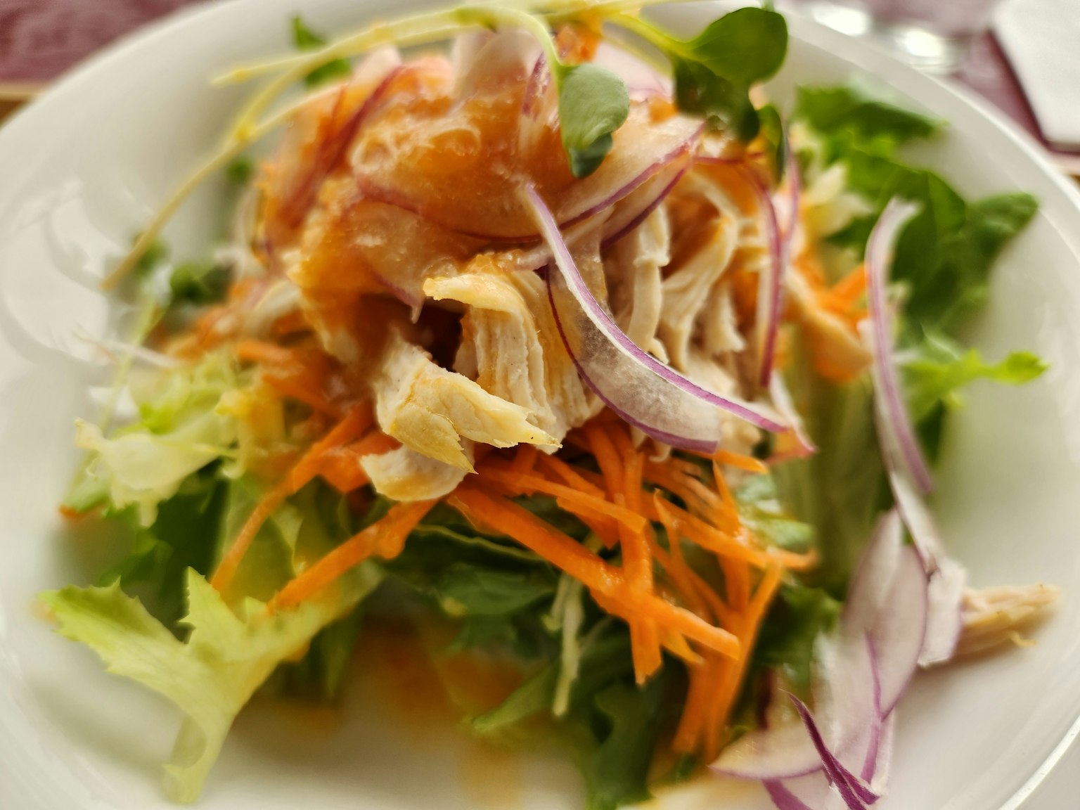Ensalada fresca cubierta con pollo, zanahorias y cebollas rojas