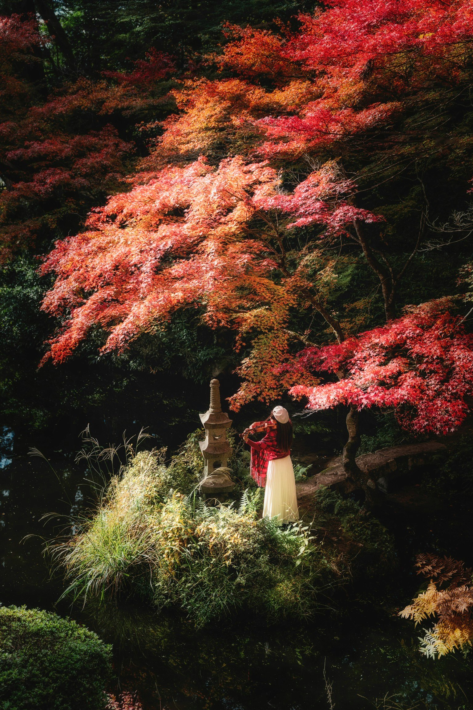紅葉の中で和服を着た女性が立っている美しい風景