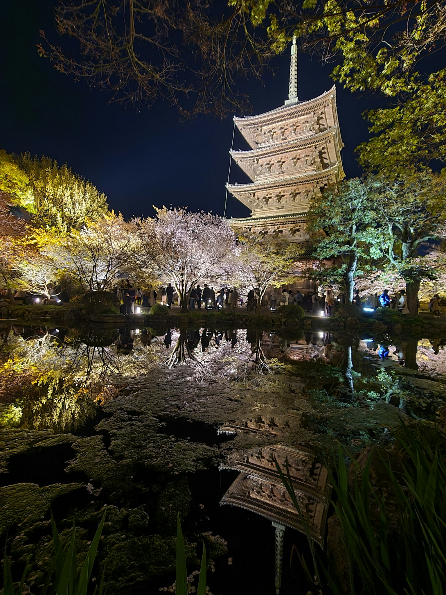 ทิวทัศน์ยามค่ำคืนที่สวยงามของเจดีย์กับซากุระสะท้อนในน้ำ
