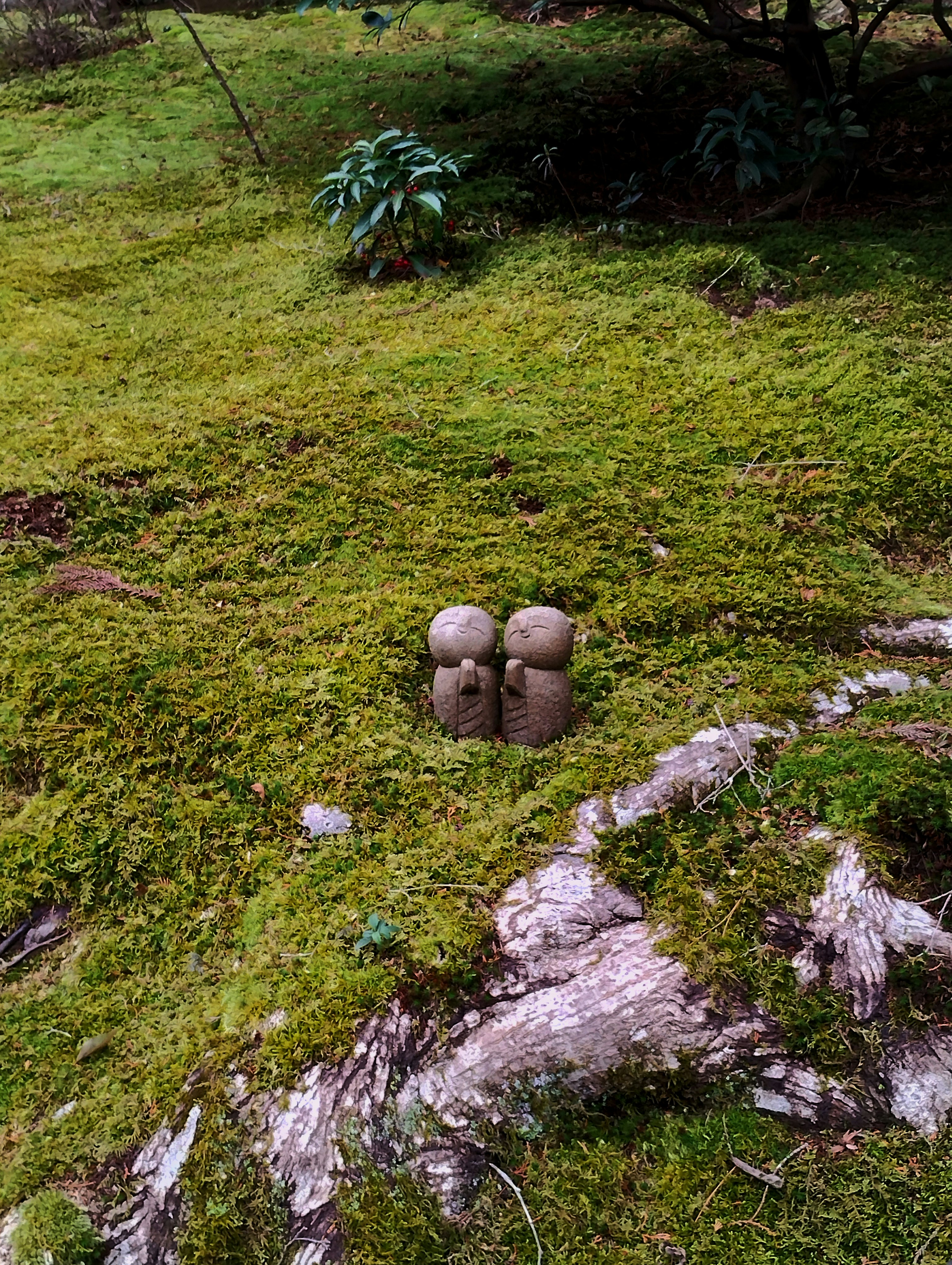 苔むした庭の小道と石の置物