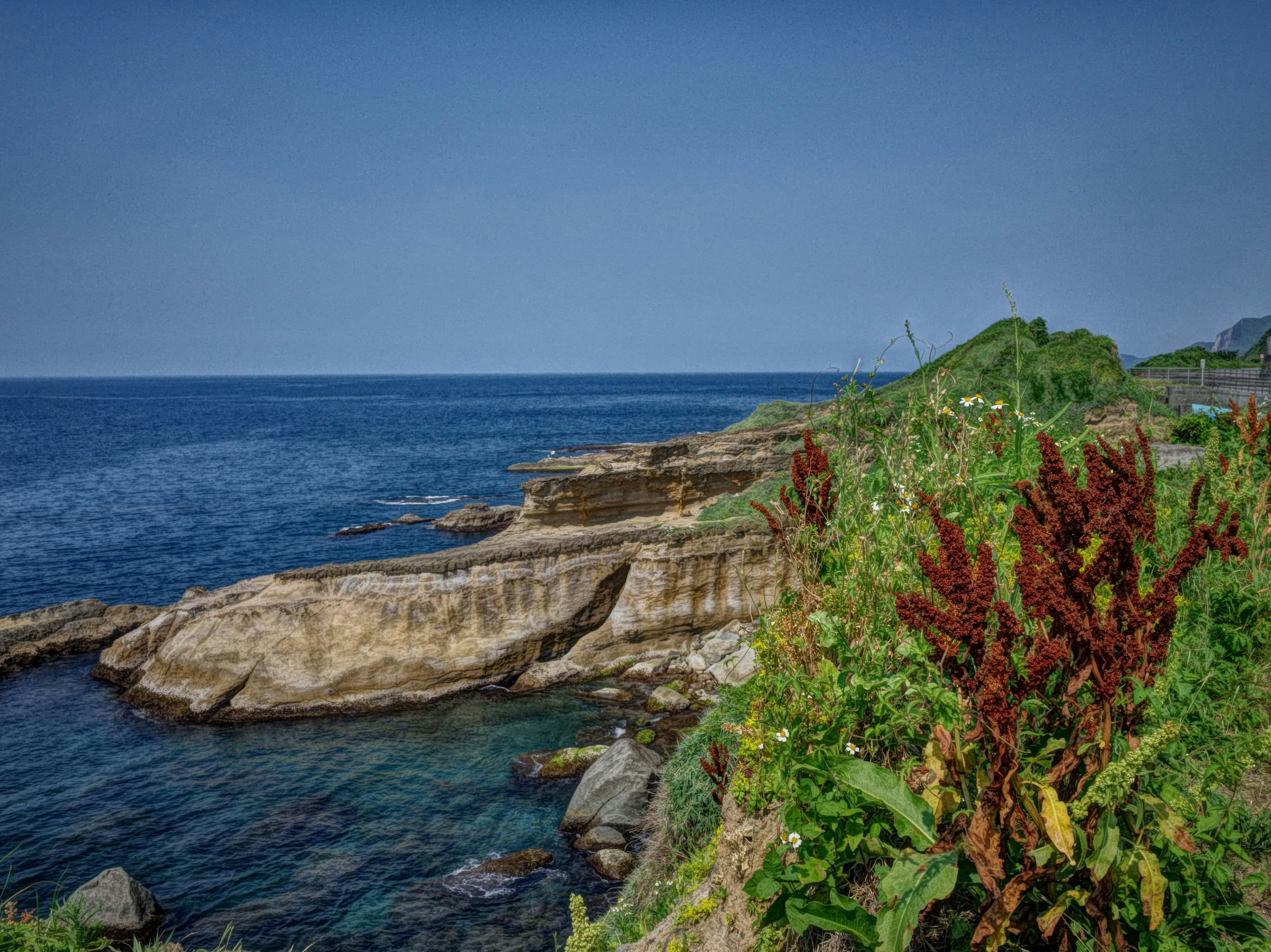 Garis pantai Taiwan dengan tepi berbatu dan tanam-tanaman di tanjung