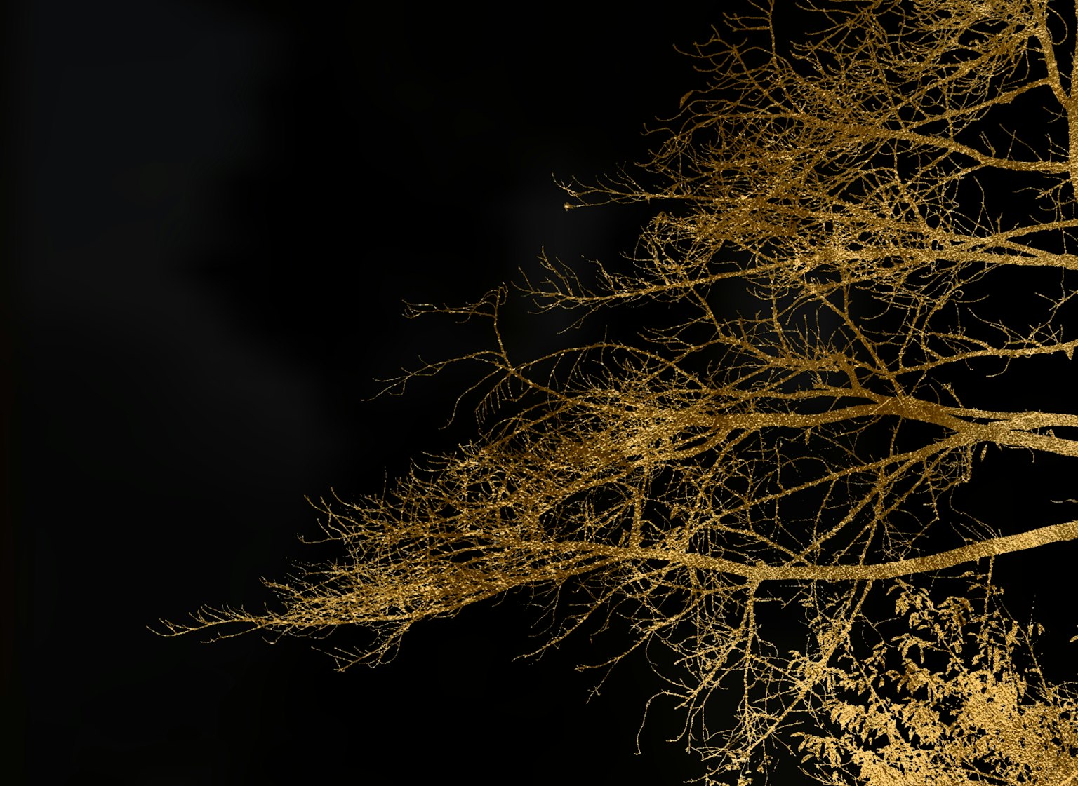 Branches d'arbre dorées sur un fond sombre