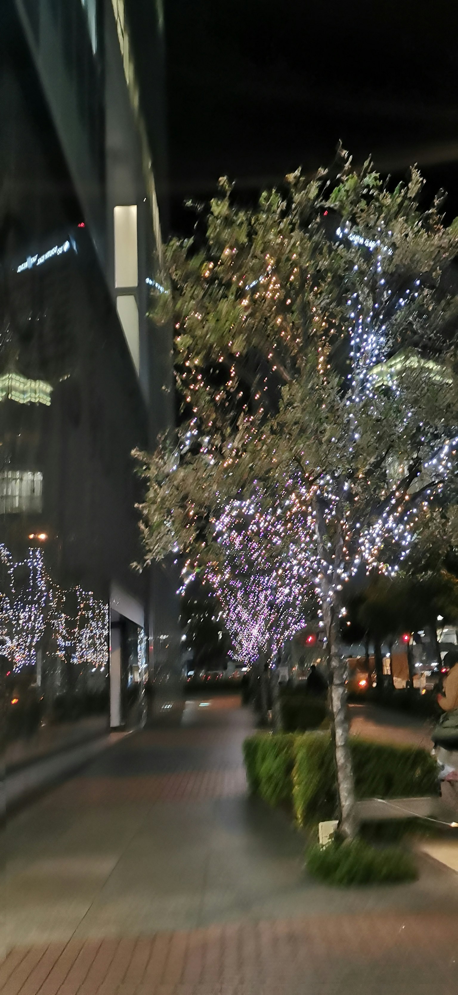 夜間城市街道上的照明櫻花樹