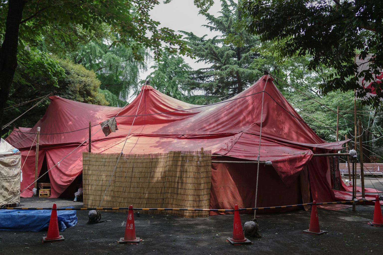 Rotes Zelt im Park umgeben von Bäumen und Grünflächen