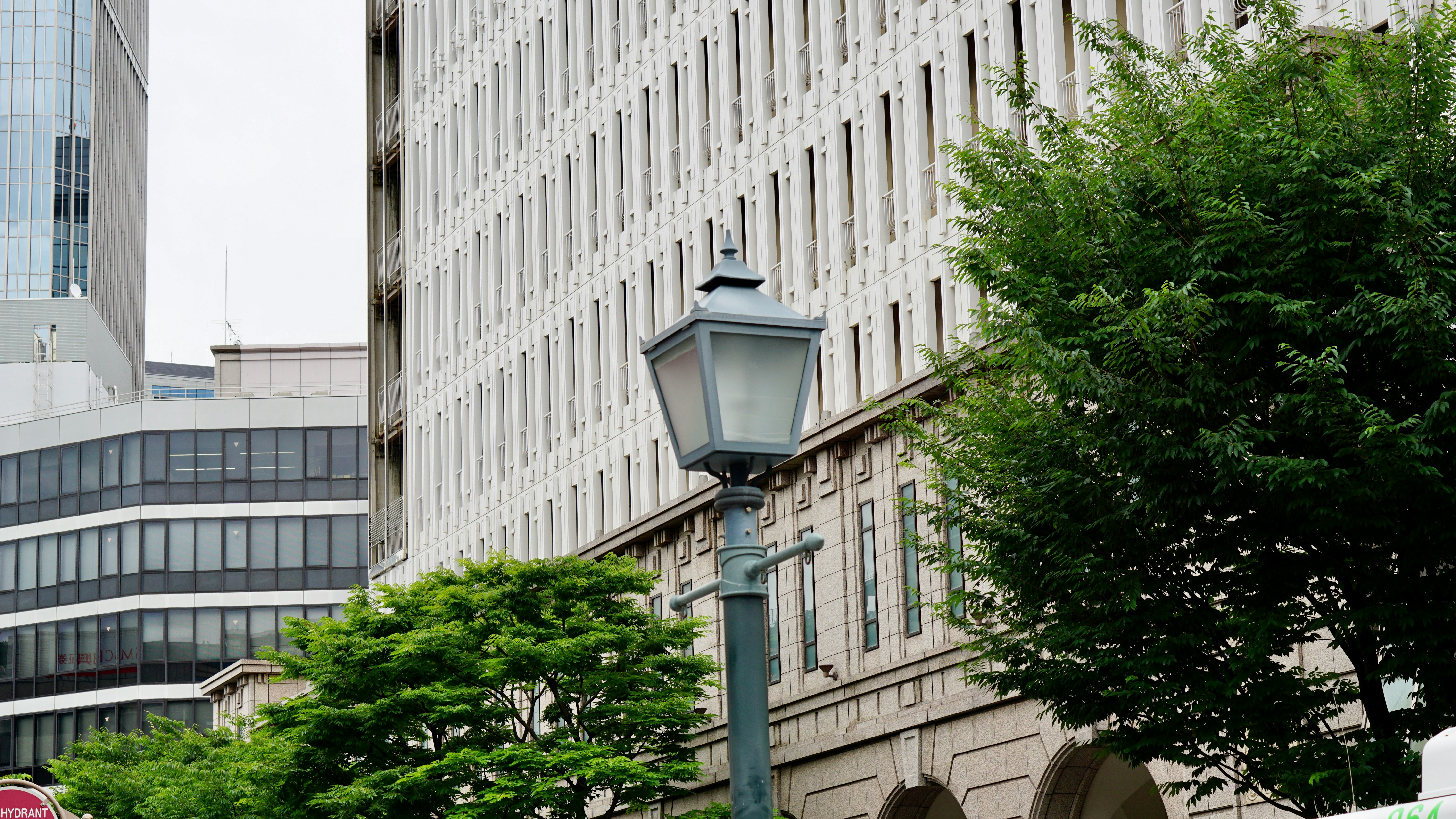 街路樹と街灯のある都市の建物外観
