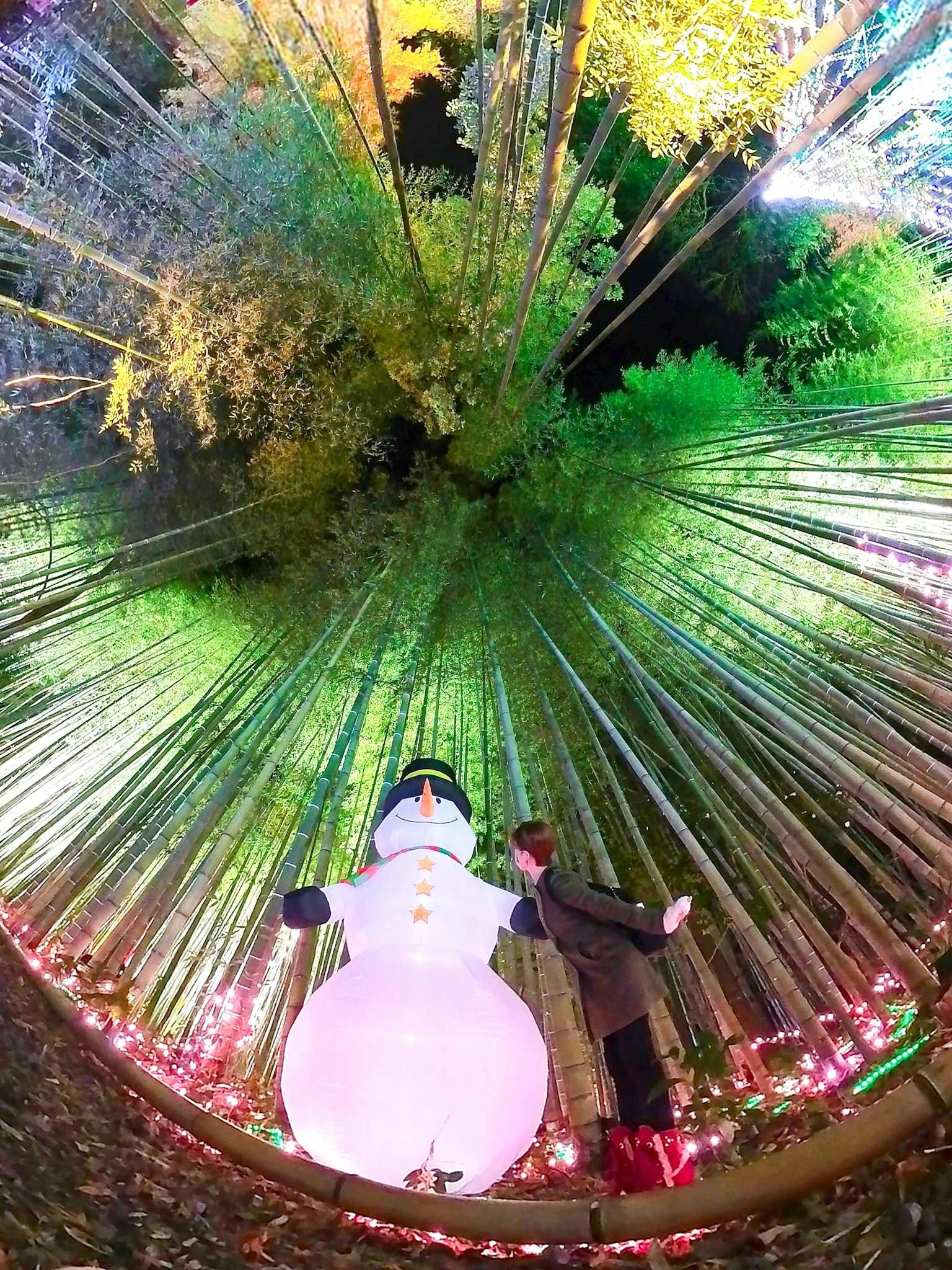 A large snowman in a bamboo forest with a person in front