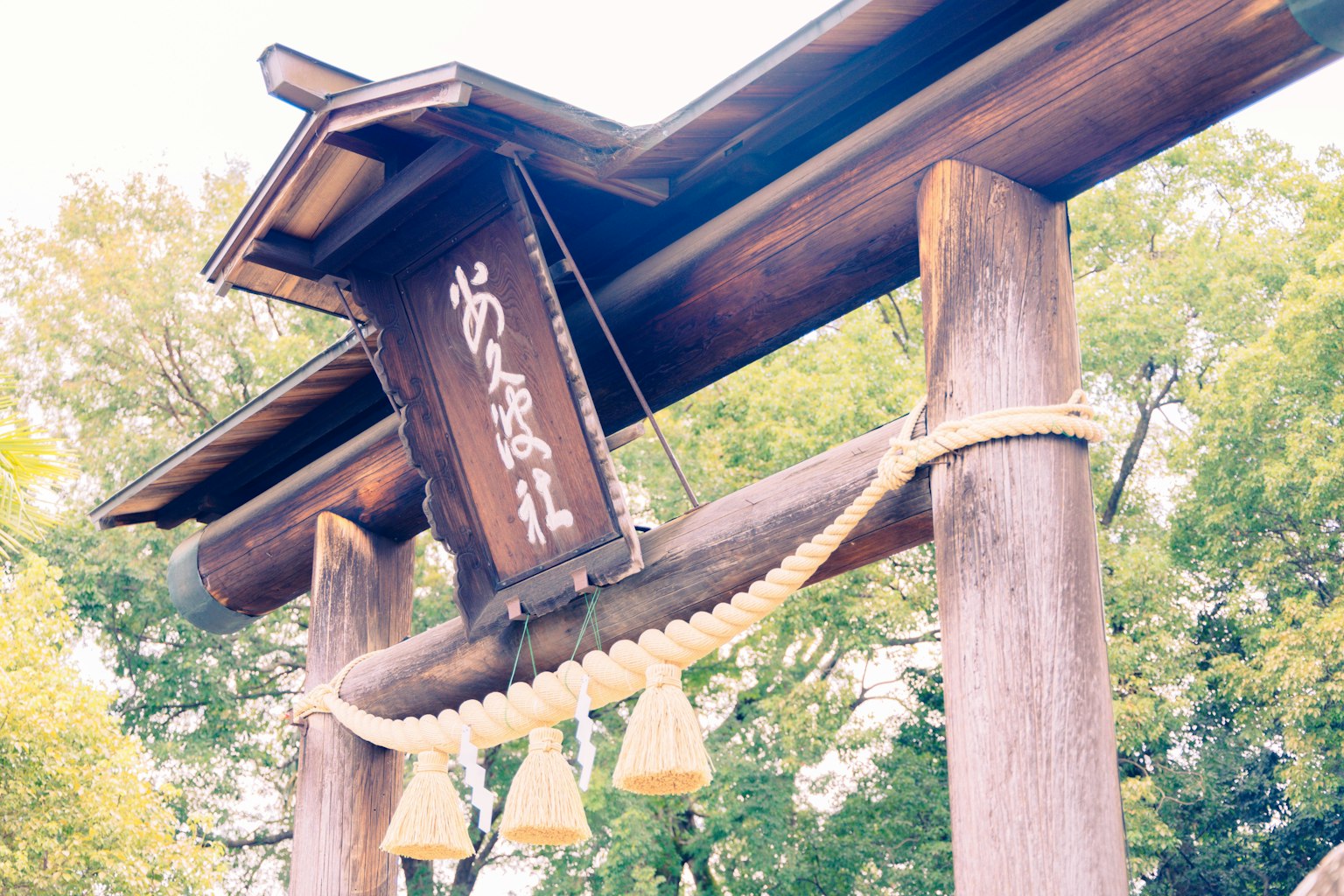 Traditional shrine torii gate with a wooden sign