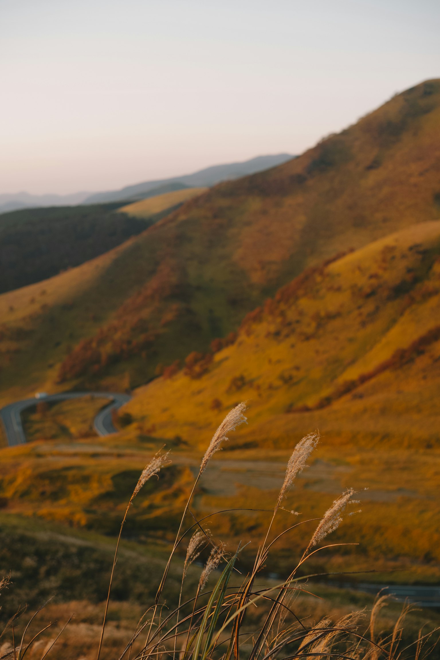 秋季山丘上的曲折道路和高草