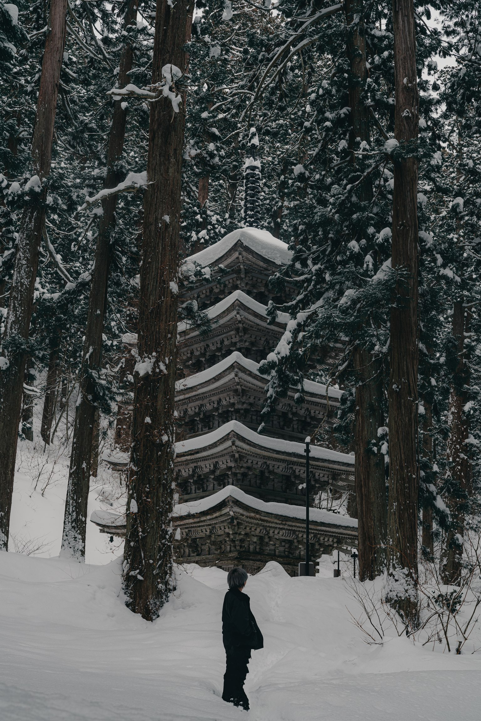 photo-EOu6s76VZteCn97M4zfy-image