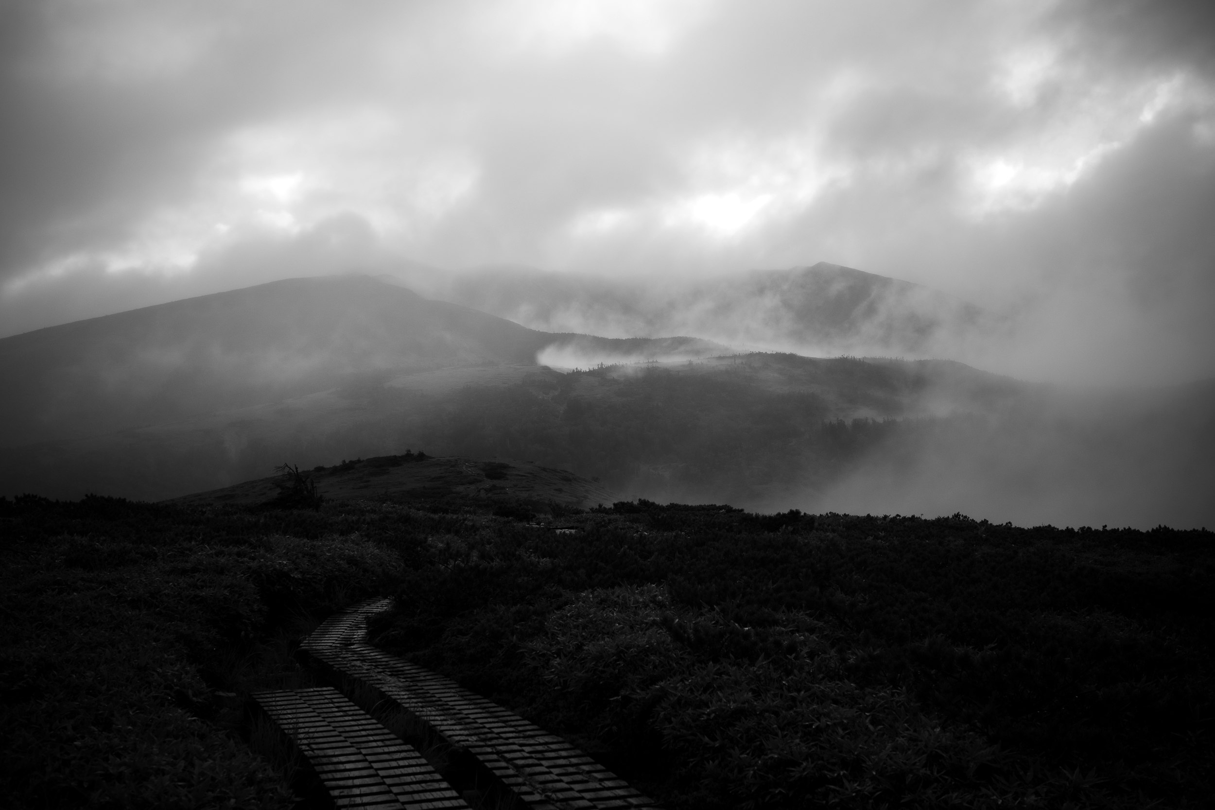 霧のかかった山並みと雲の下の森の斜面