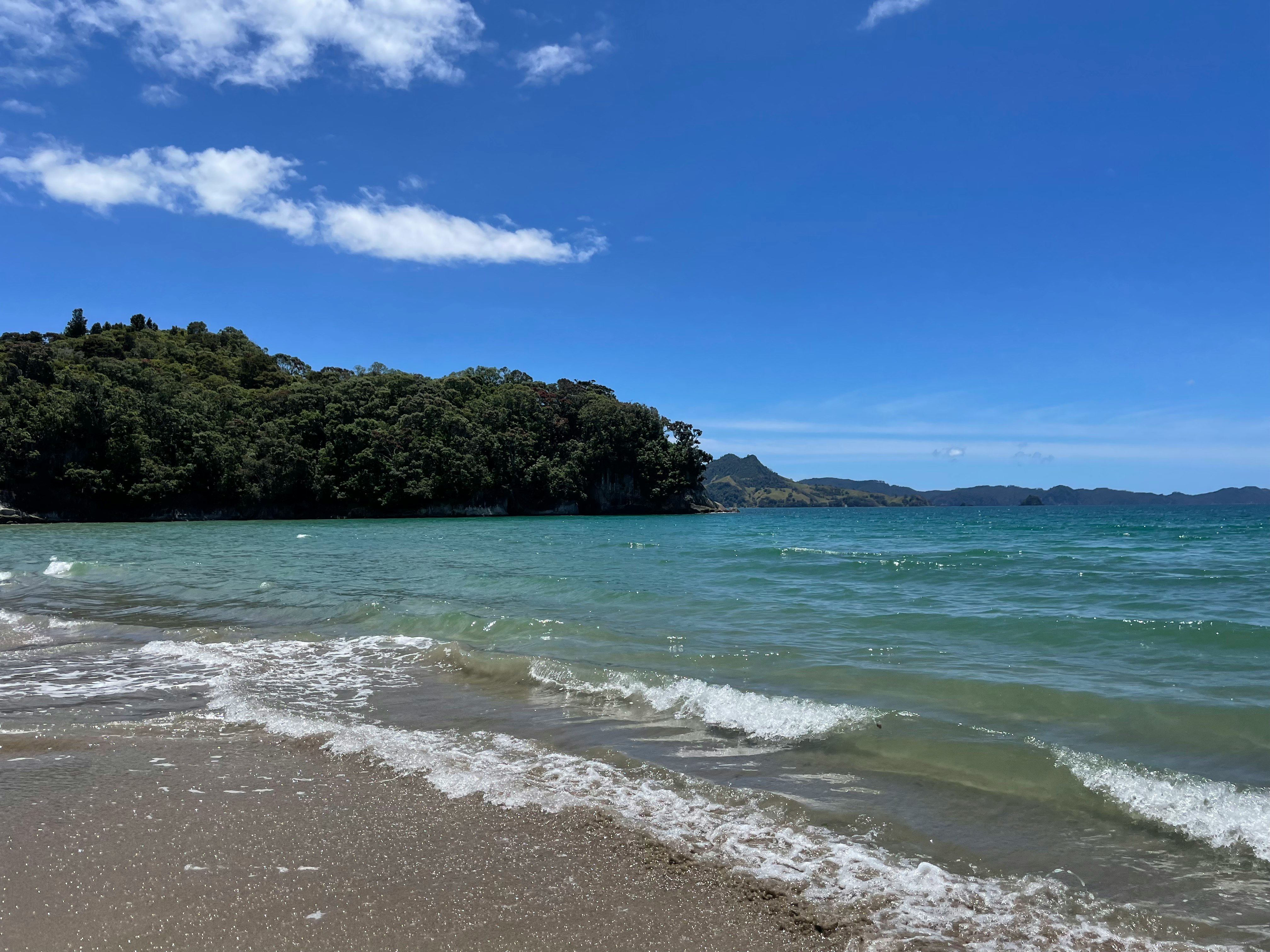 青い海と波が広がる海岸の風景