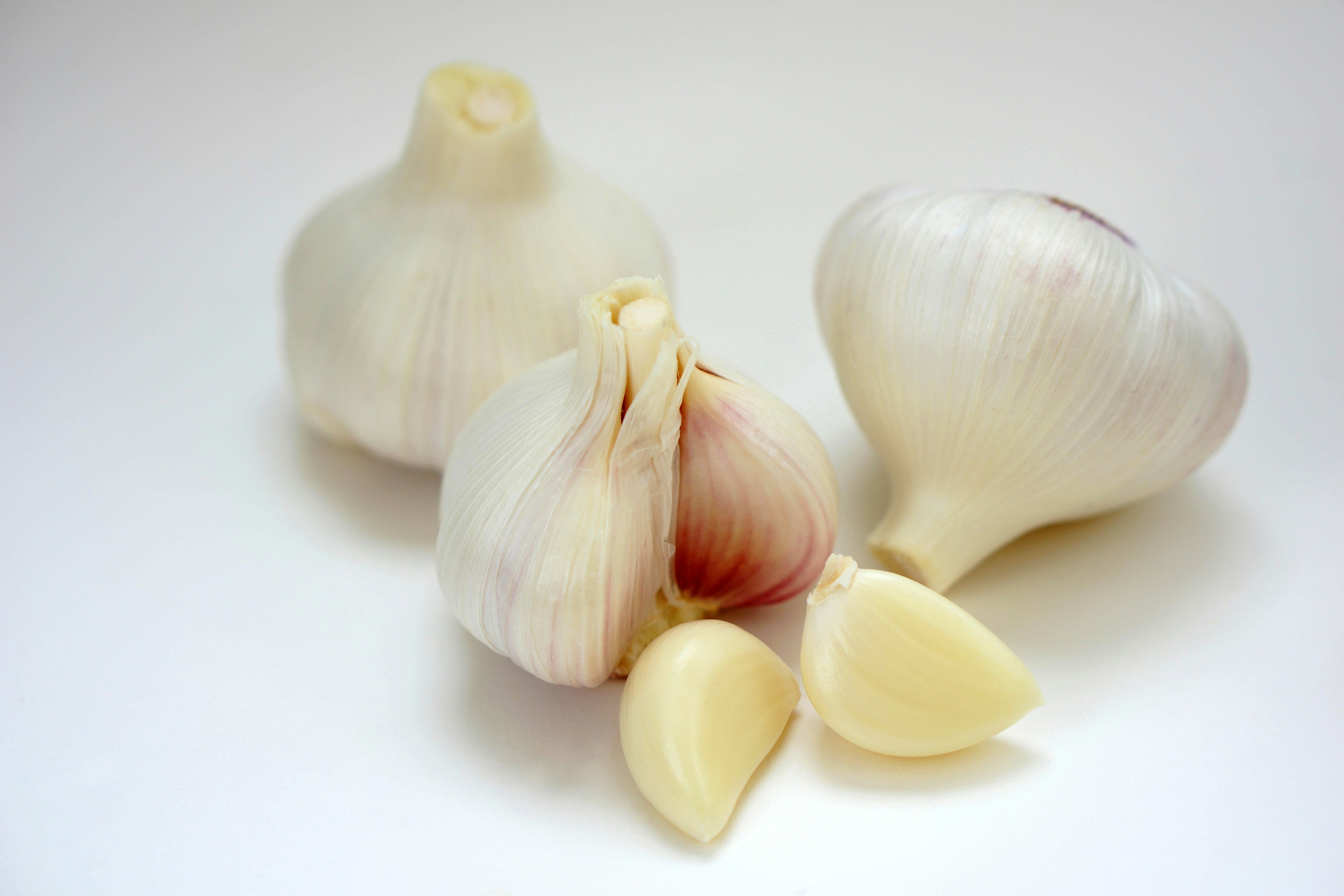 ail et oignons disposés sur fond blanc