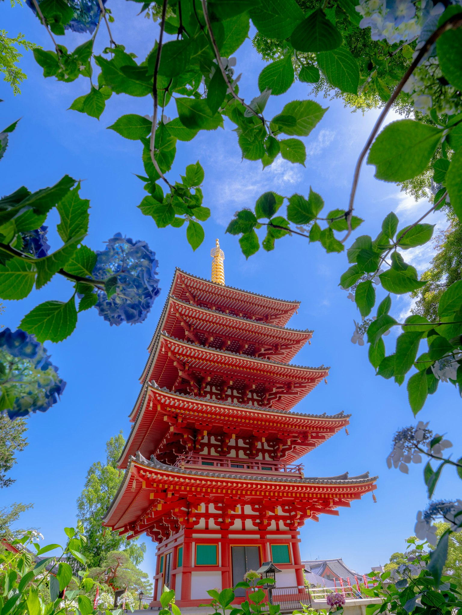 Five-story pagoda under a clear blue sky framed by green leaves