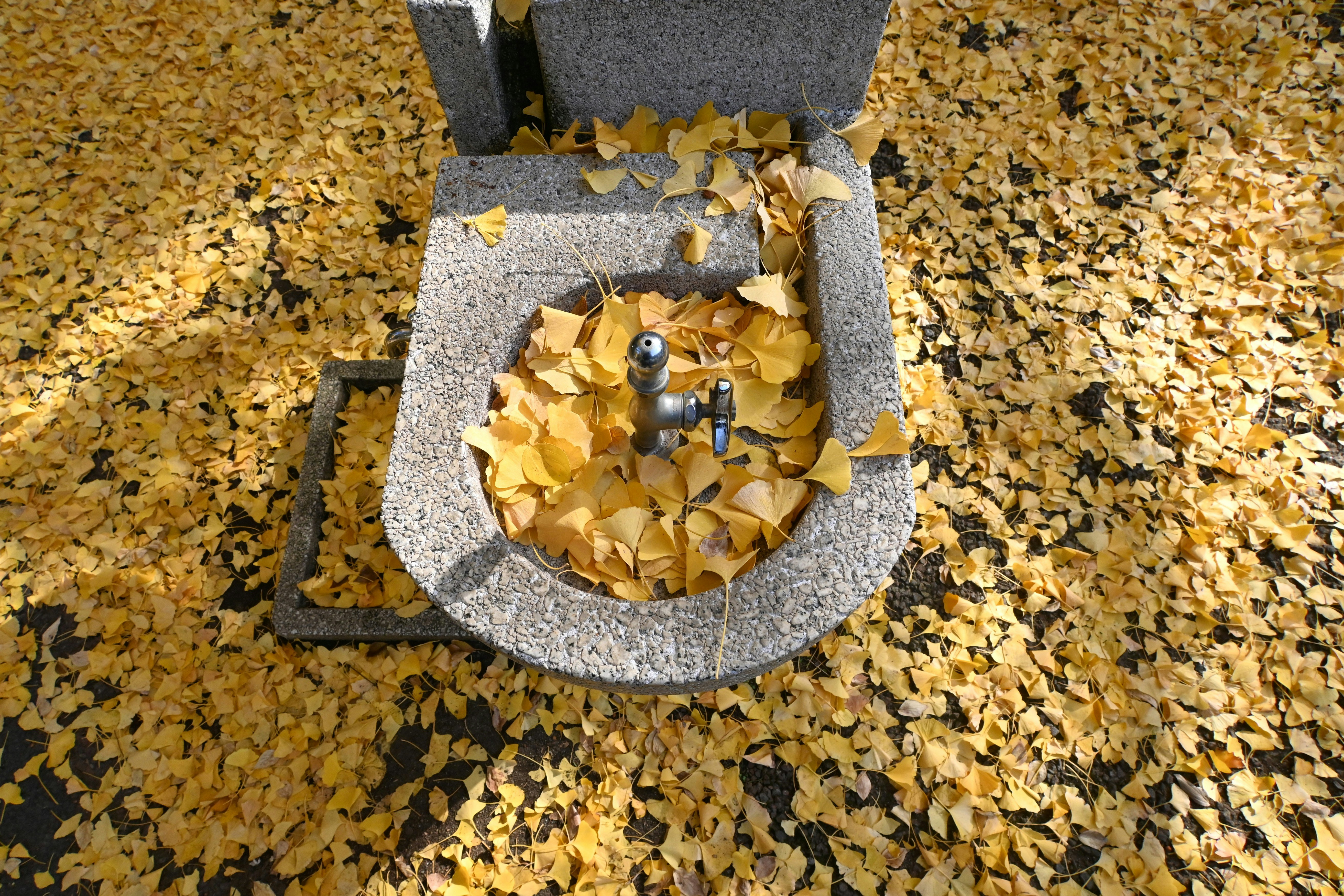 Pequeña figura colocada sobre hojas de ginkgo caídas