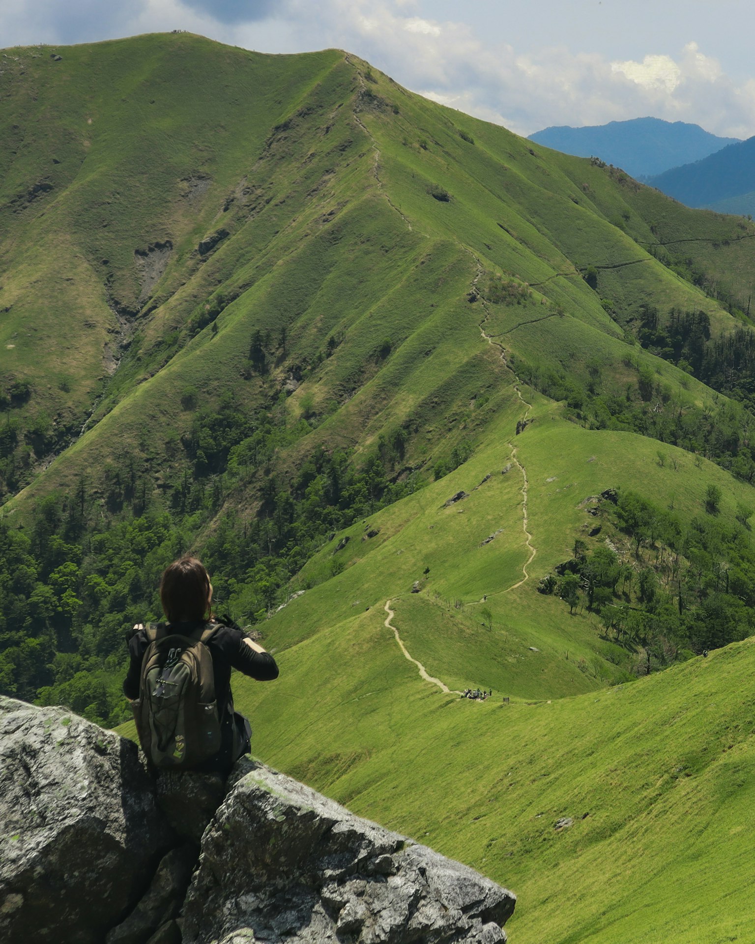 Hiker overlooking lush green mountains and trails