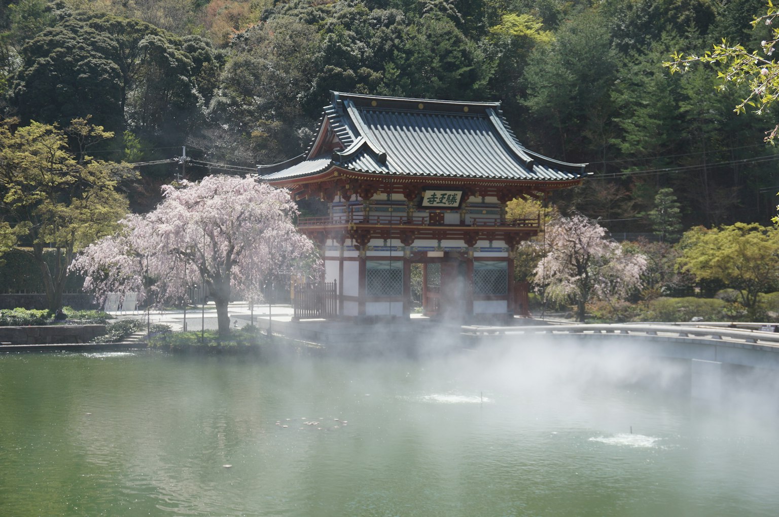 Bâtiment traditionnel japonais près d'un étang paisible avec des cerisiers en fleurs