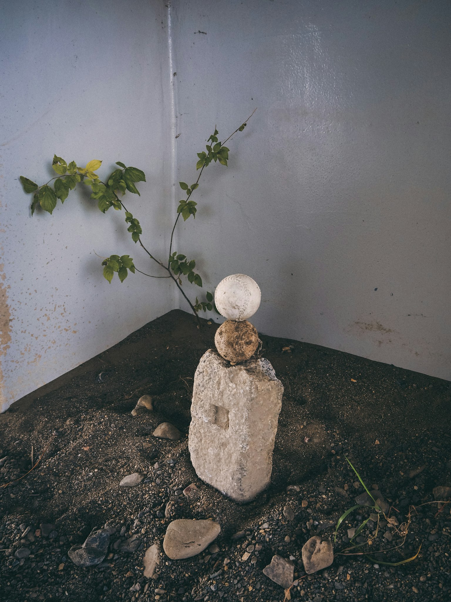 Una sfera bianca bilanciata su una scultura di pietra in un angolo tranquillo con terra e vegetazione