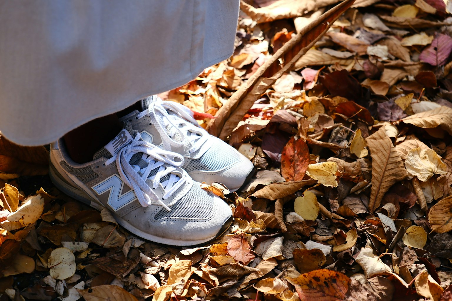 photo-EReFbfDSyyrms5qM6Xe2-image